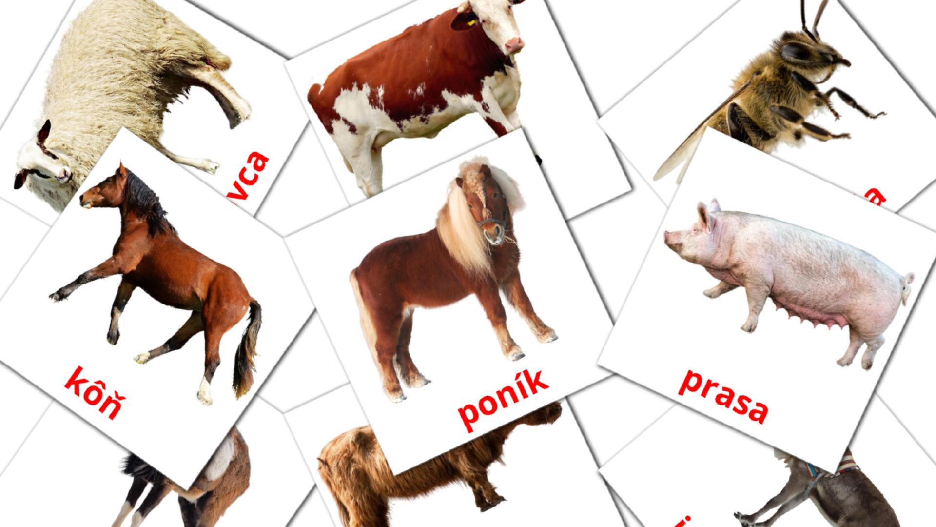 15 tarjetas didacticas de Hospodárske zvieratá