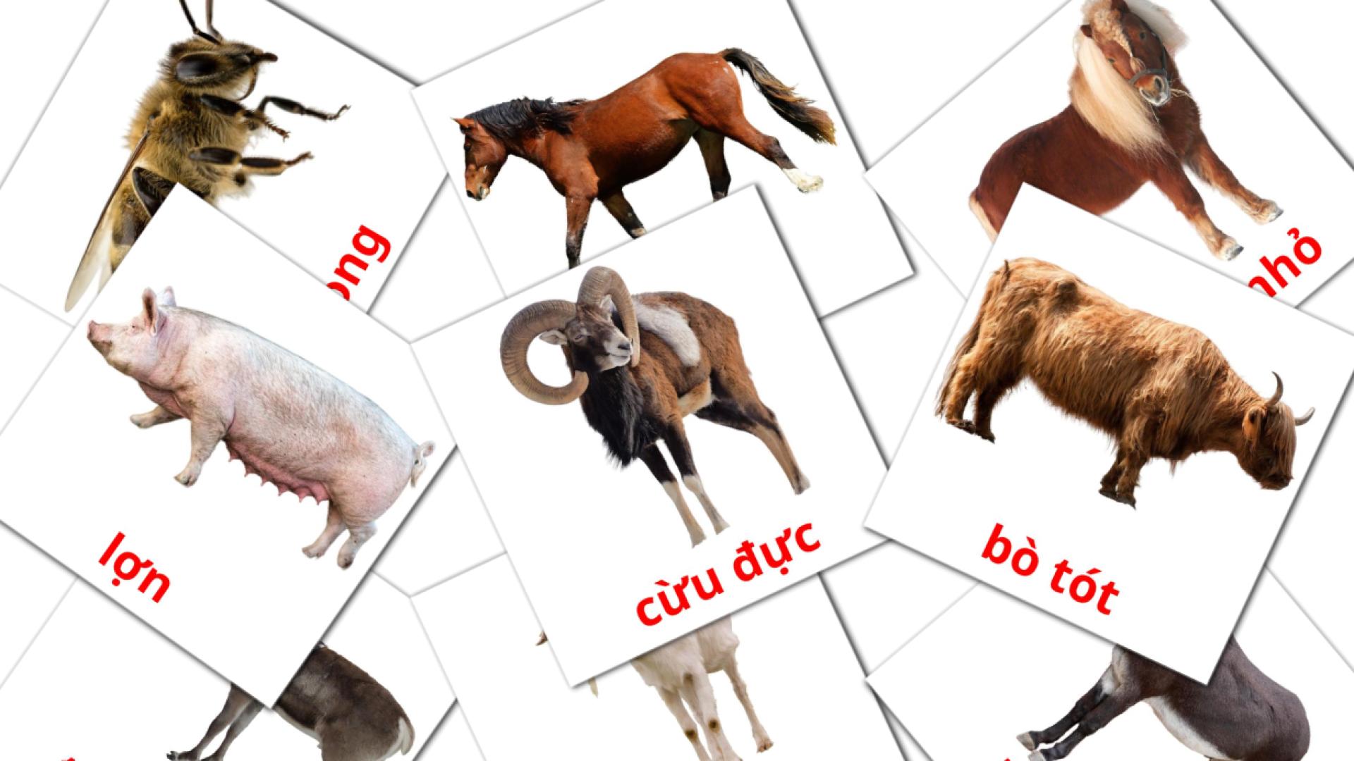 15 Bildkarten für Vật nuôi