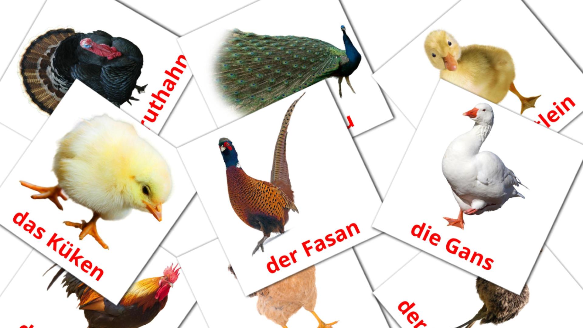 Aves da Quinta - Cartões de vocabulário alemão