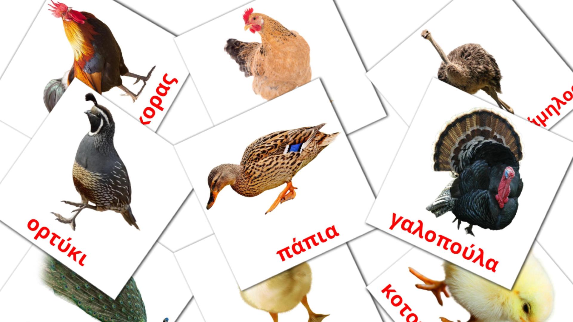 11 tarjetas didacticas de πουλιά φάρμας