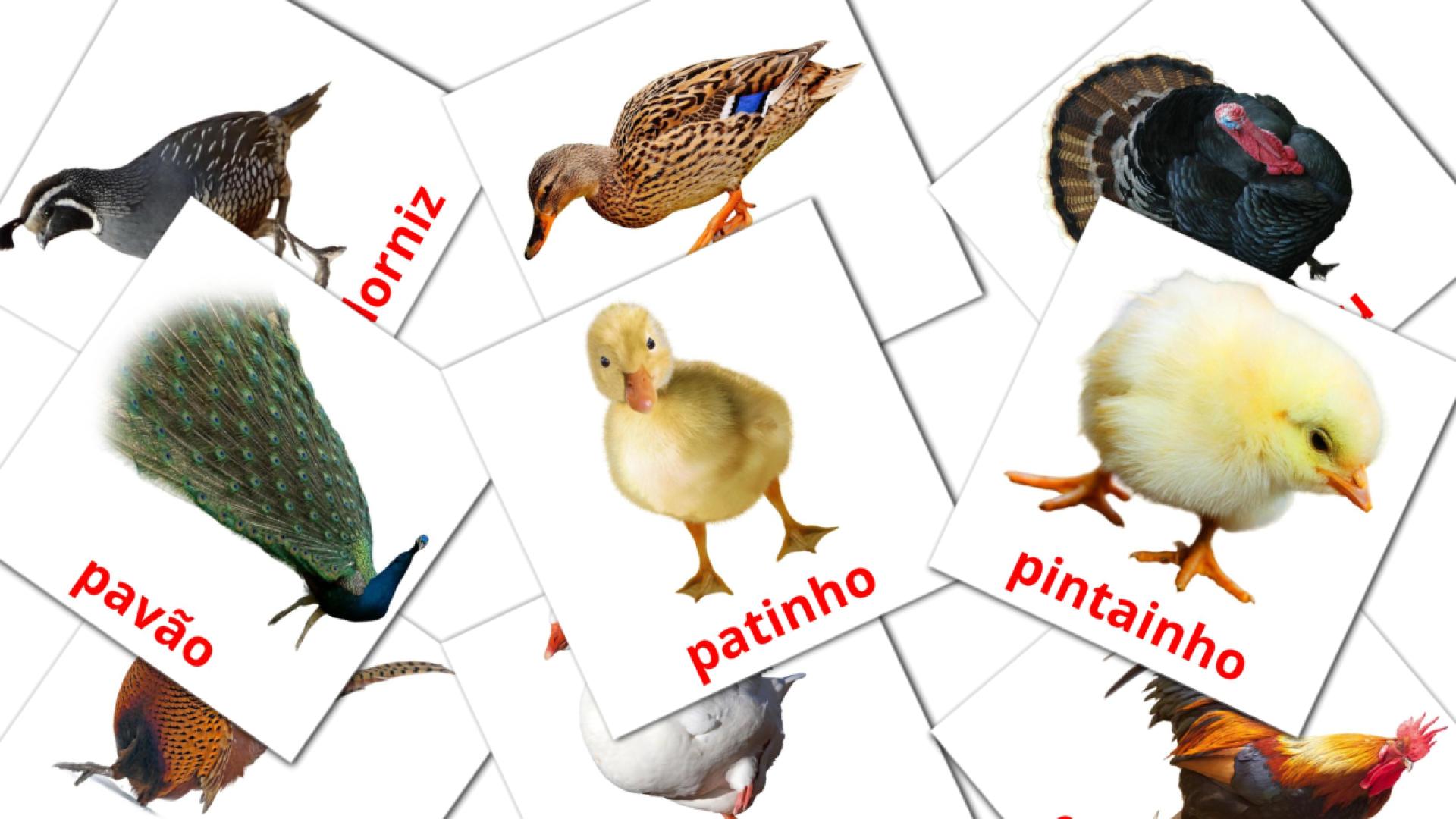 11 tarjetas didacticas de Aves da Quinta