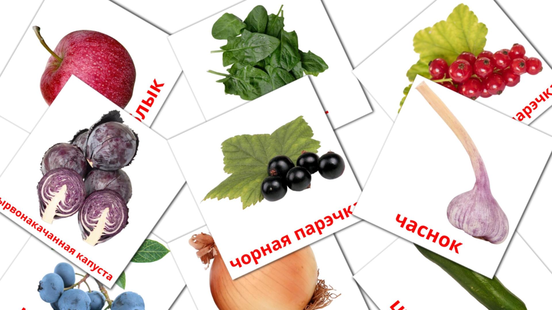 Ежа Vocabulário em bielorrusso Flashcards