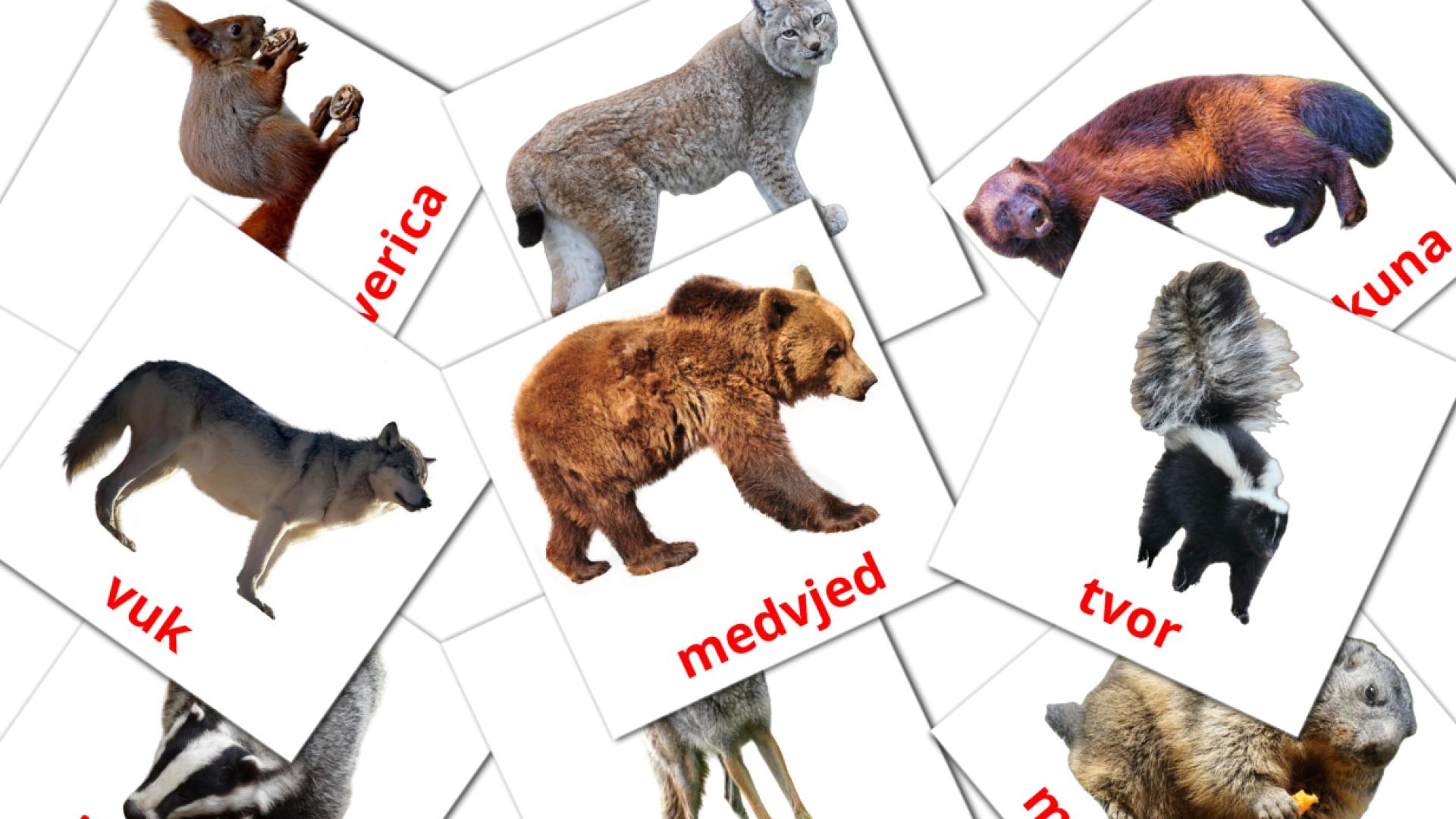 22 Bildkarten für Šumske životinje