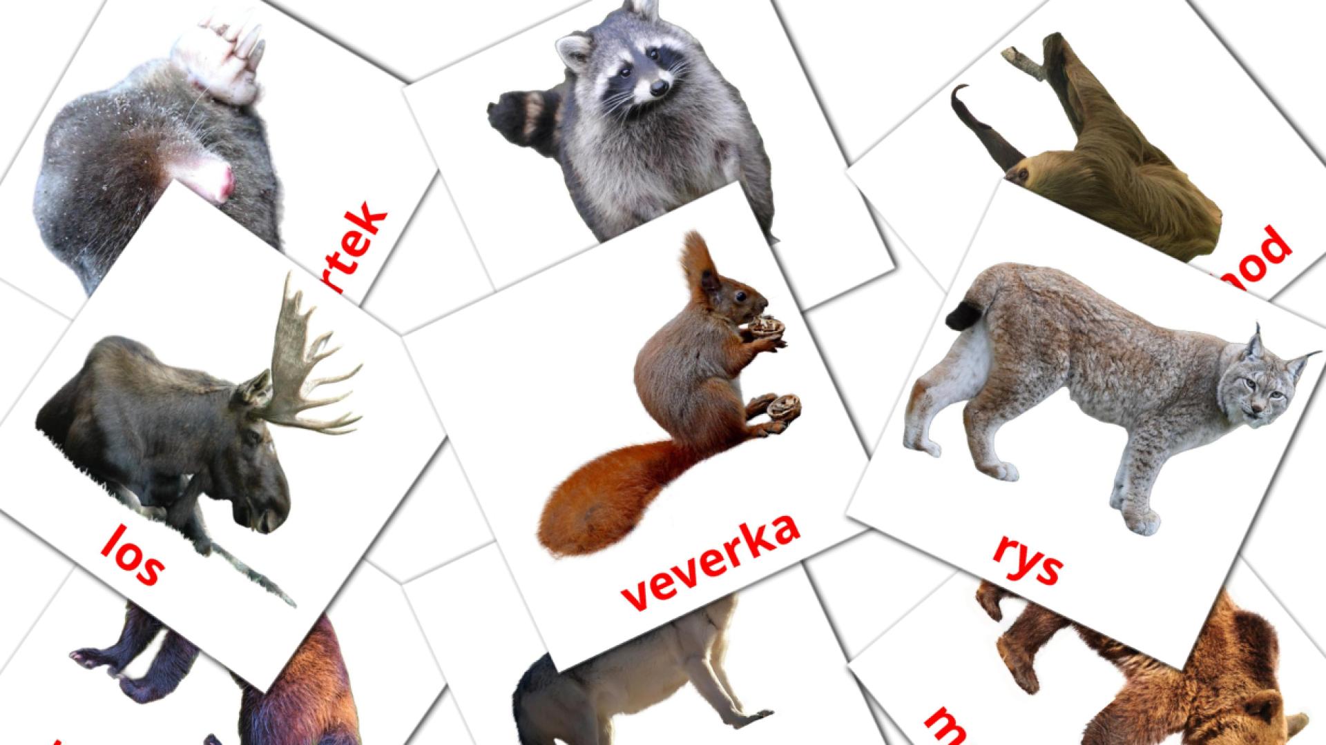 22 Bildkarten für Lesní zvířata