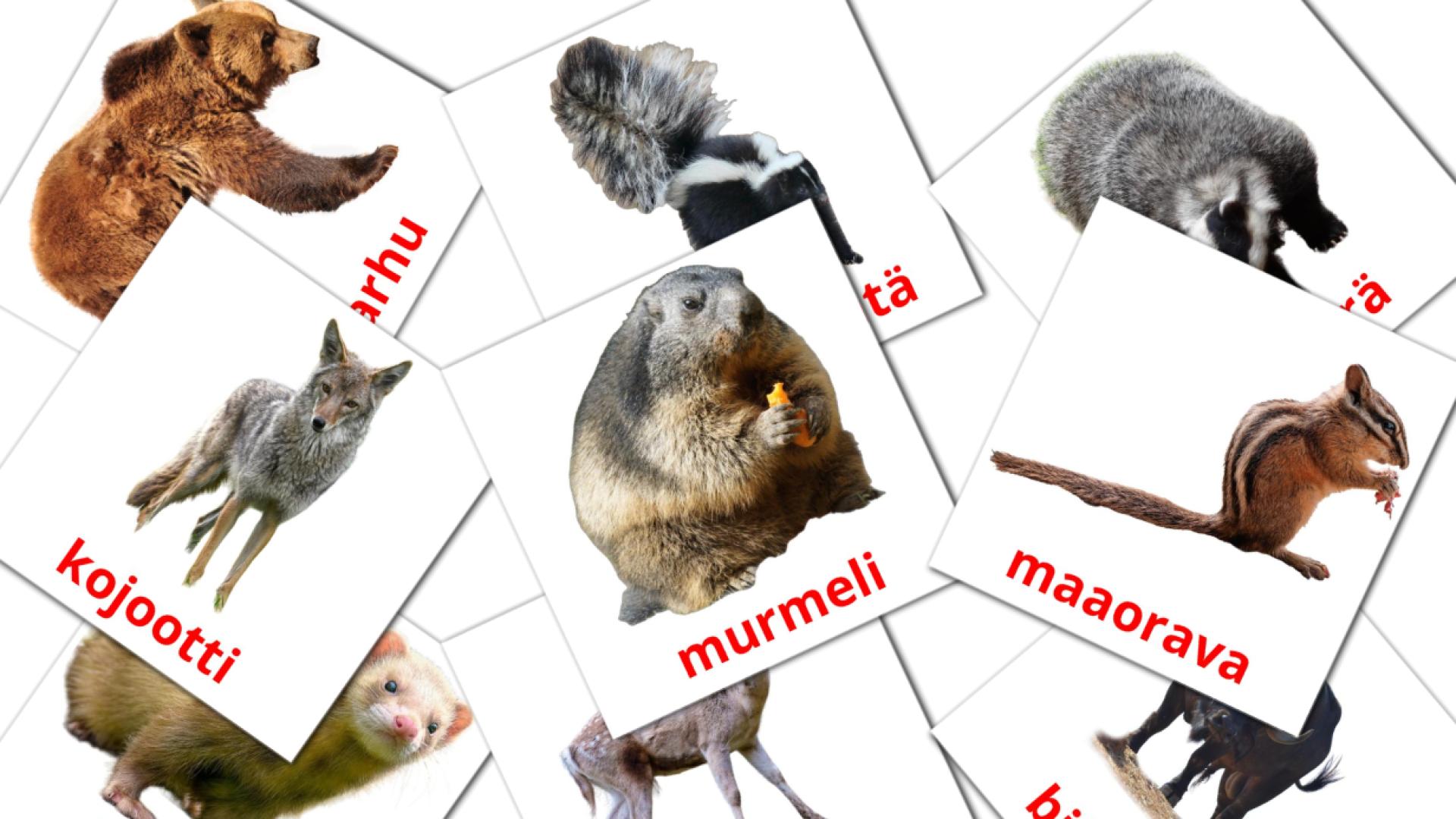 22 flashcards di Metsän eläimet