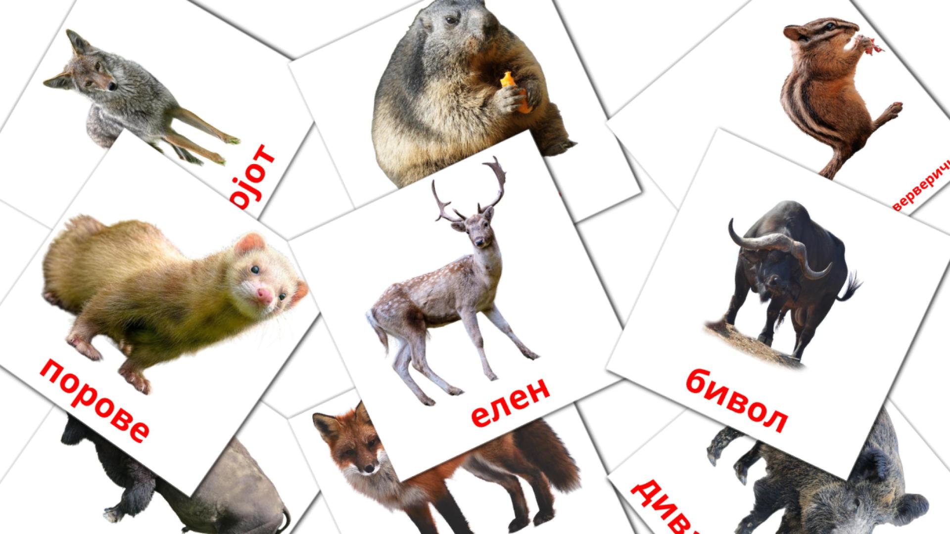 22 Bildkarten für Шумски животни