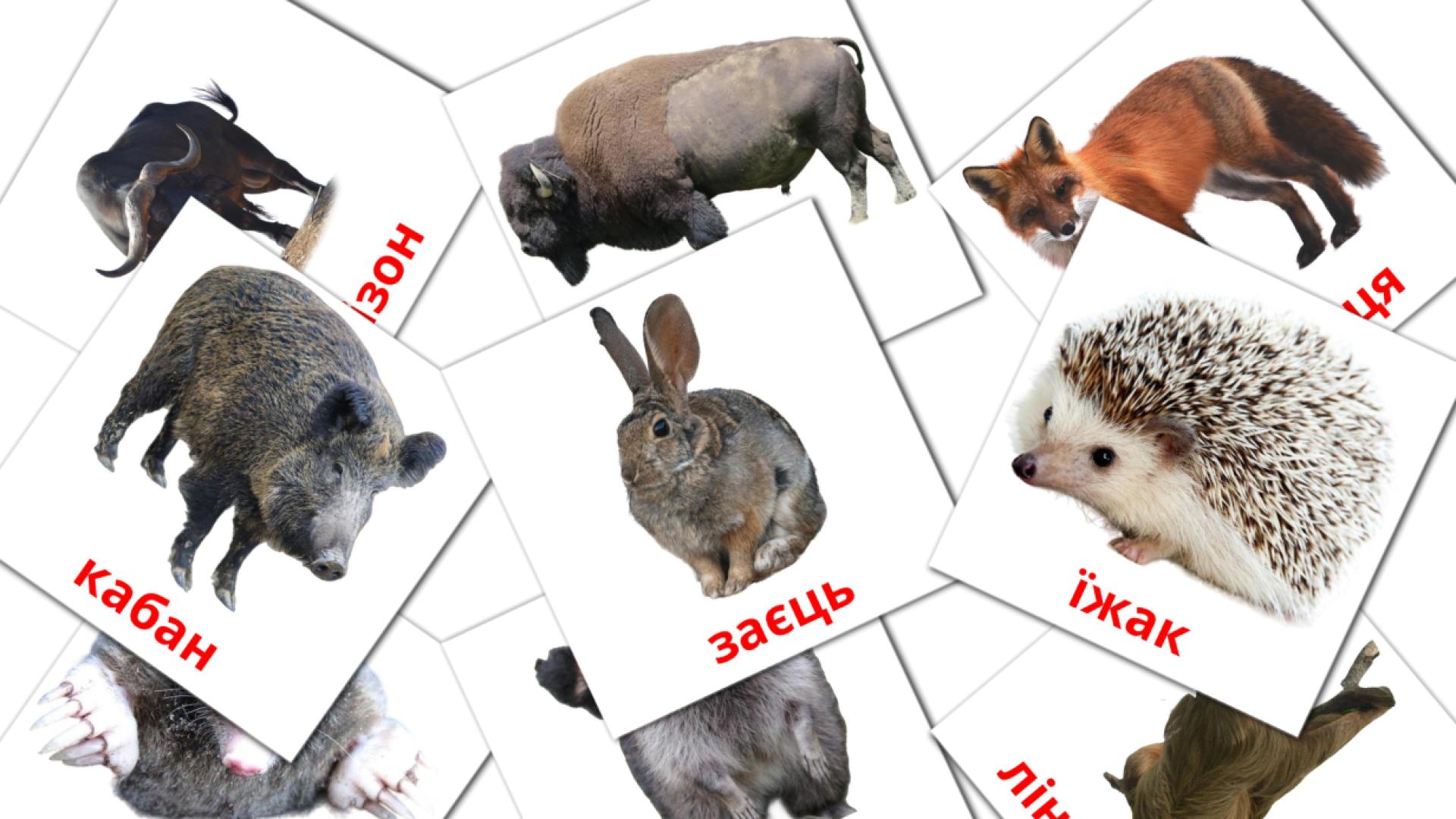 22 tarjetas didacticas de Лісові тварини
