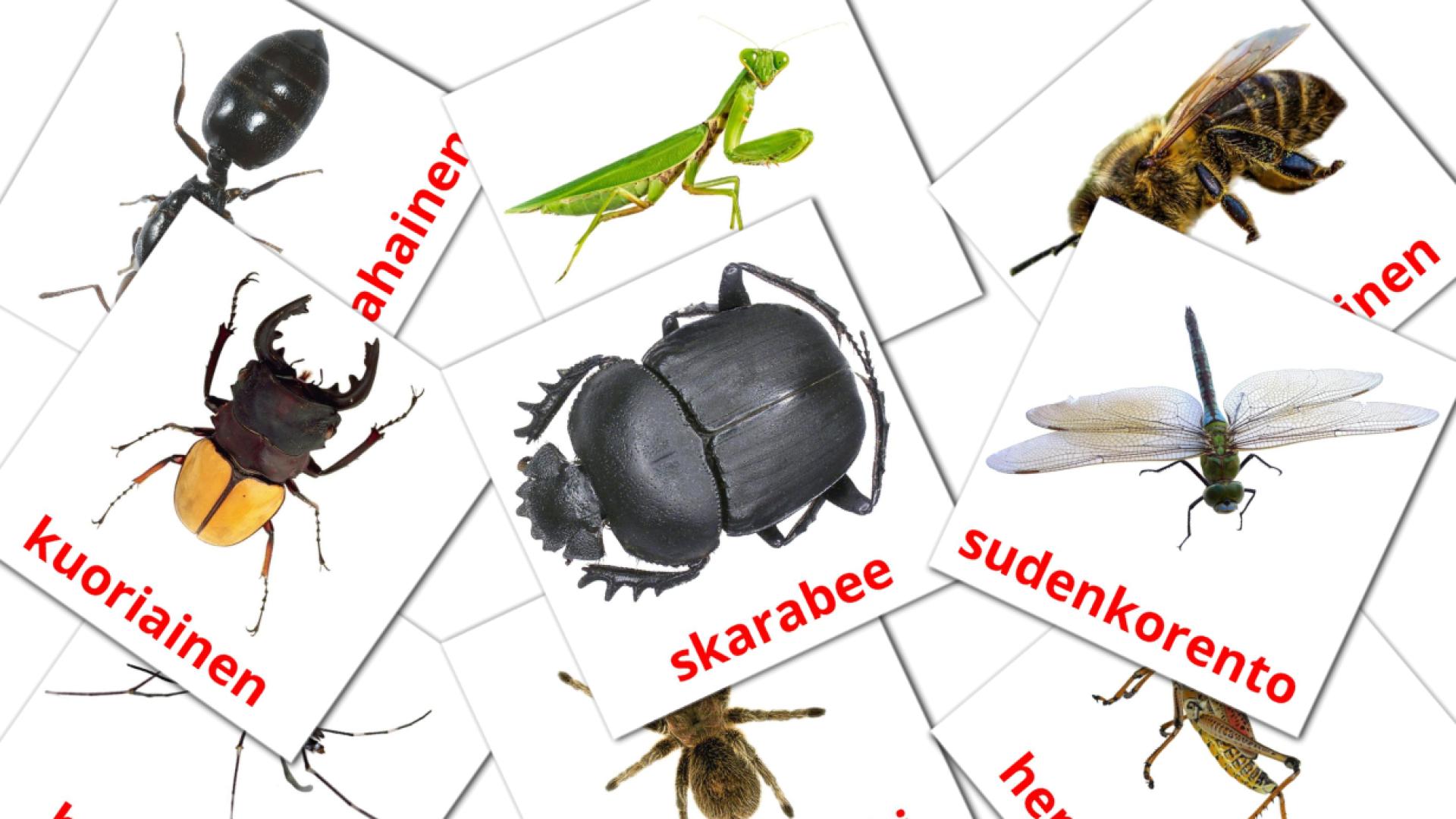 23 Bildkarten für Hyönteiset