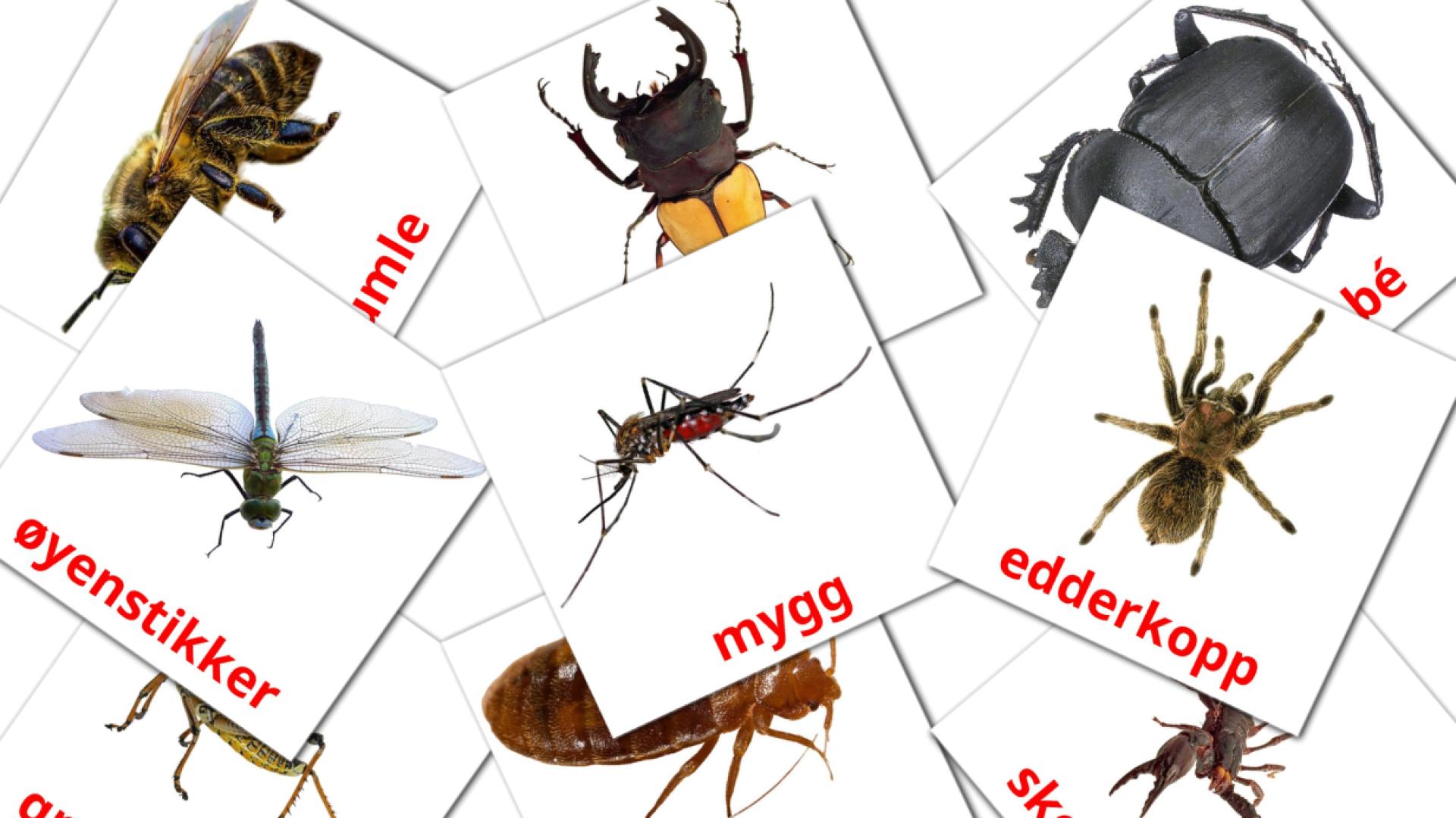 23 tarjetas didacticas de insekter