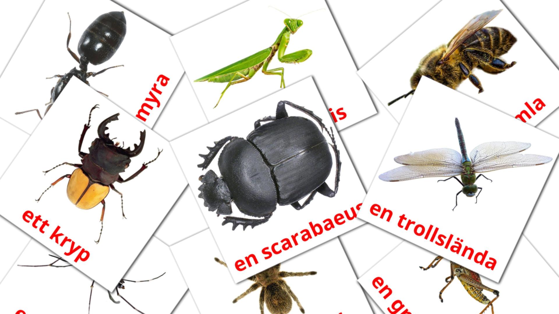 23 Bildkarten für Insekter