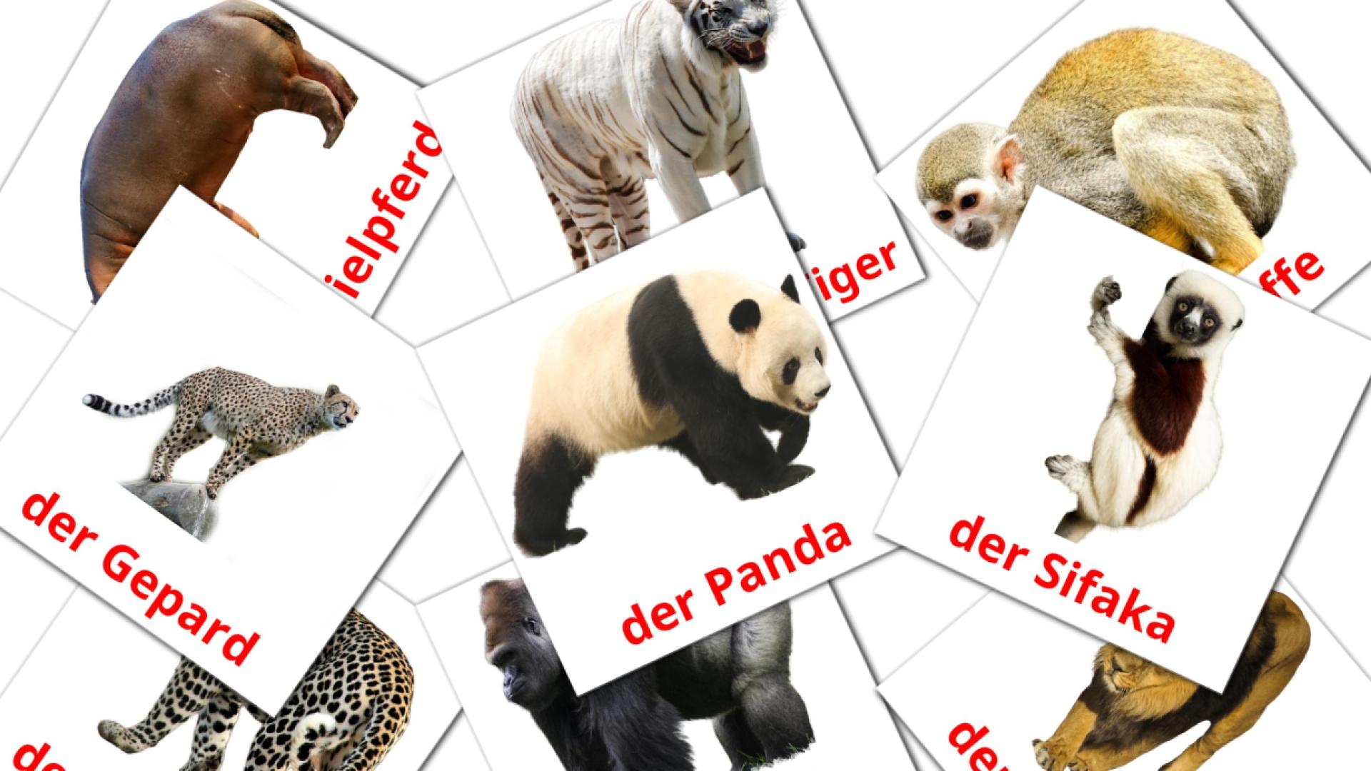 Animales de la Selva - tarjetas de vocabulario en alemán