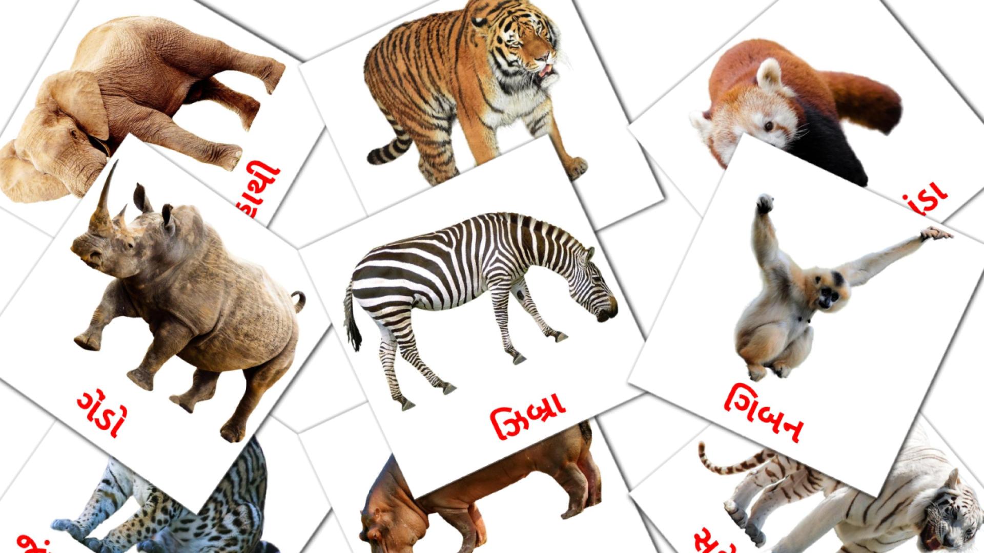 21 Bildkarten für જંગલી પ્રાણીઓ