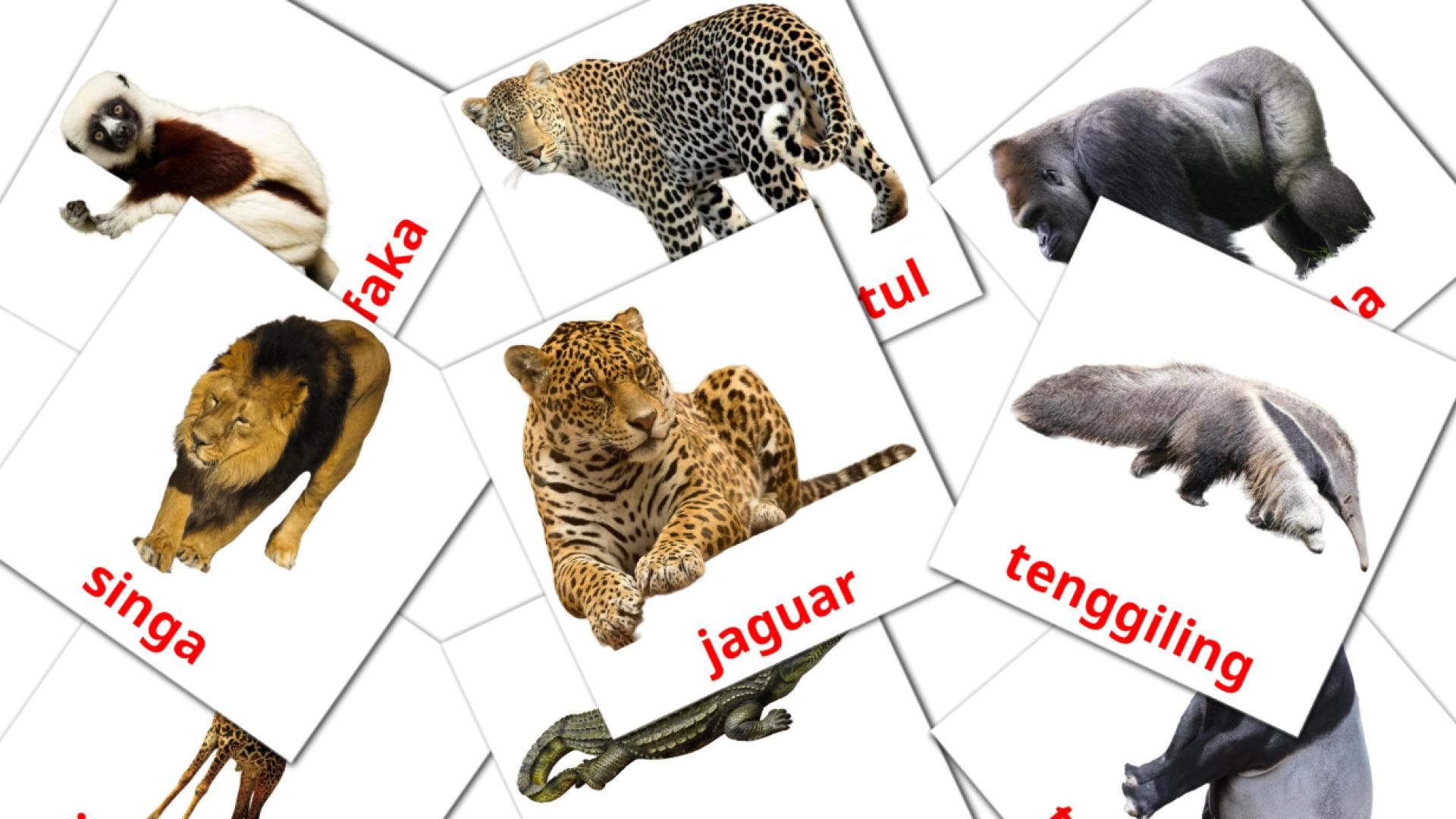 21 tarjetas didacticas de Binatang Hutan