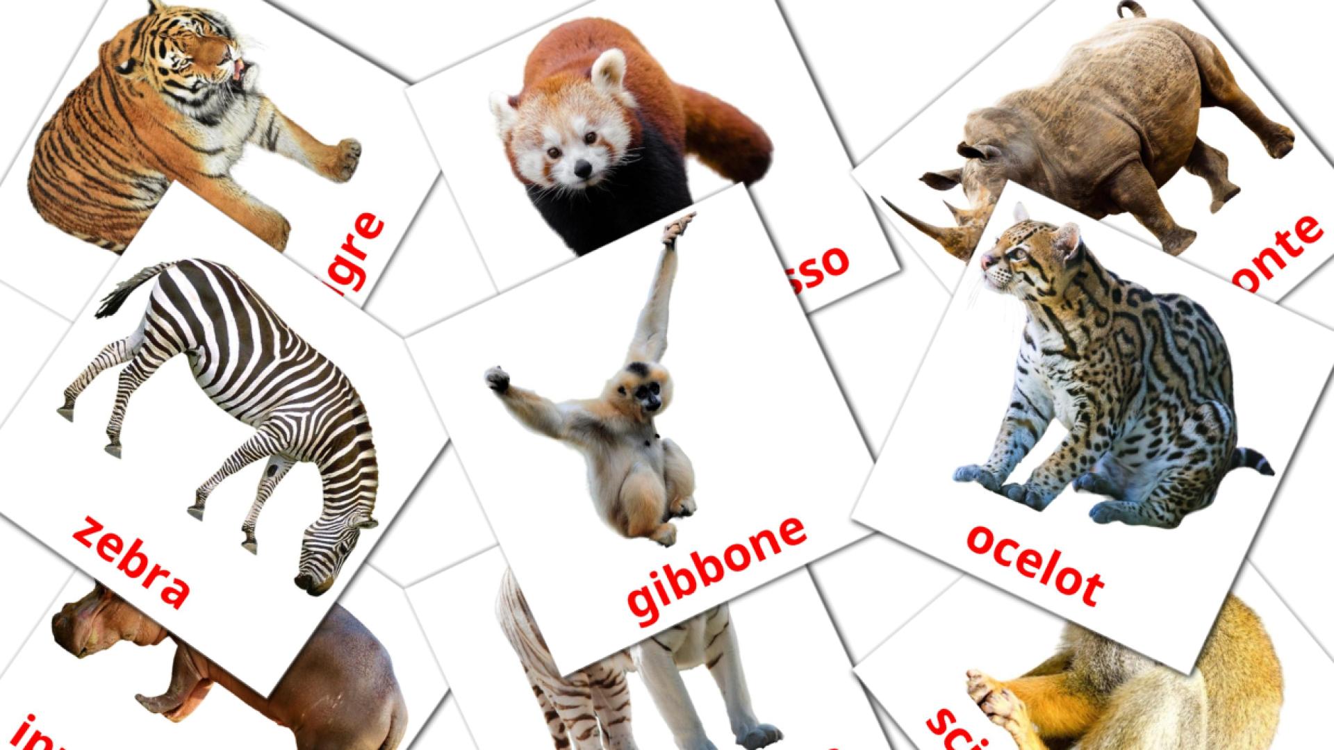 21 tarjetas didacticas de Animali della giungla