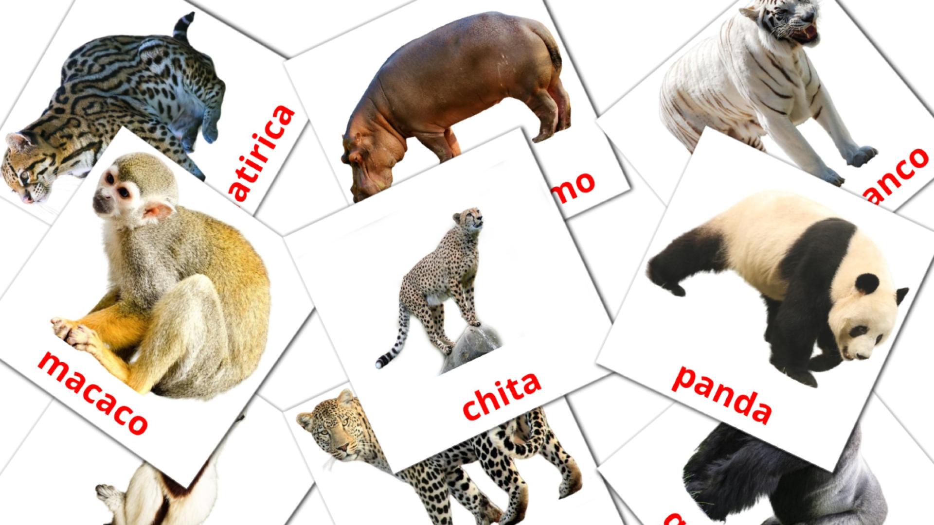 21 Flashcards de Animais da Selva