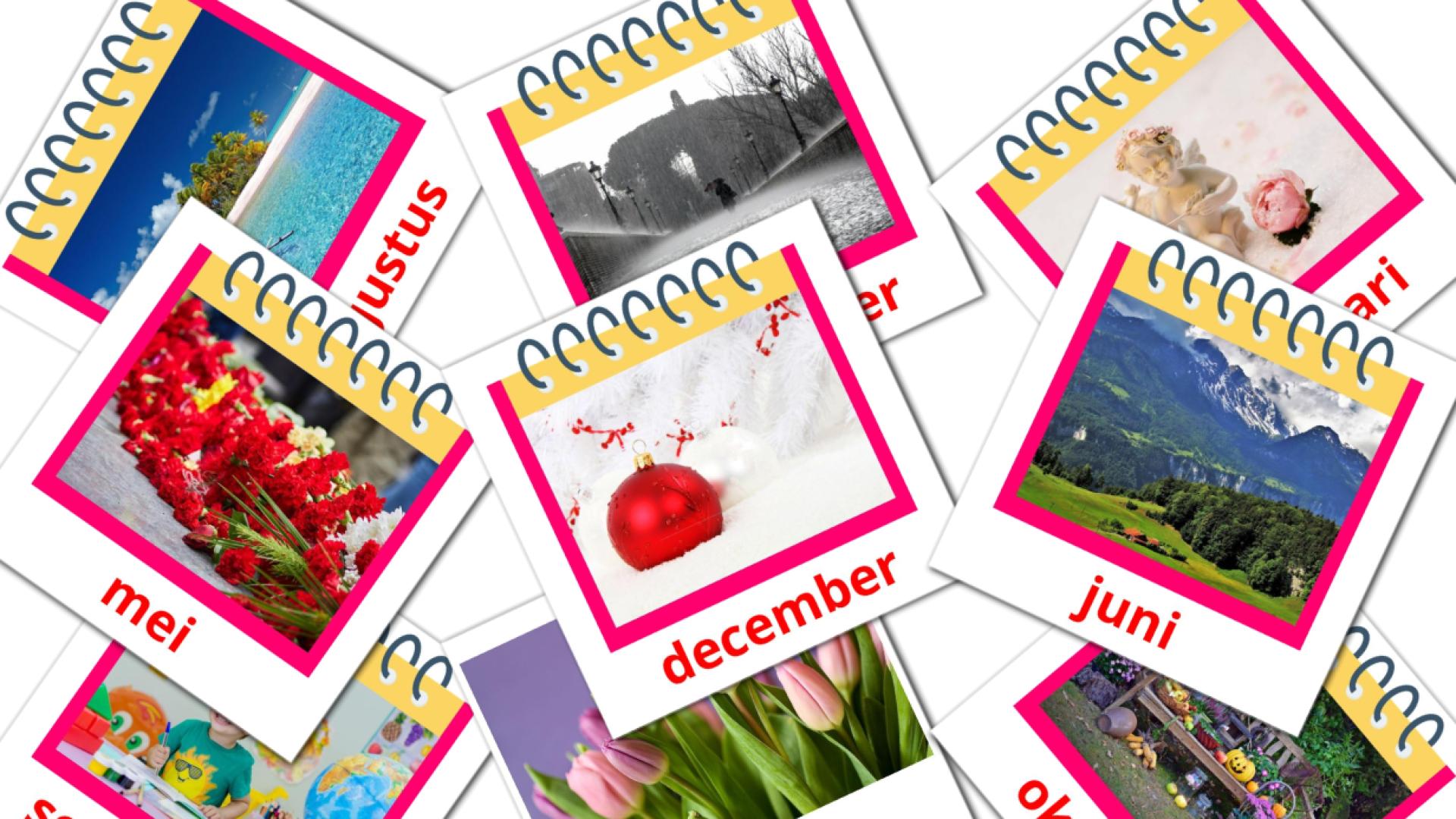 12 tarjetas didacticas de Maanden van het jaar