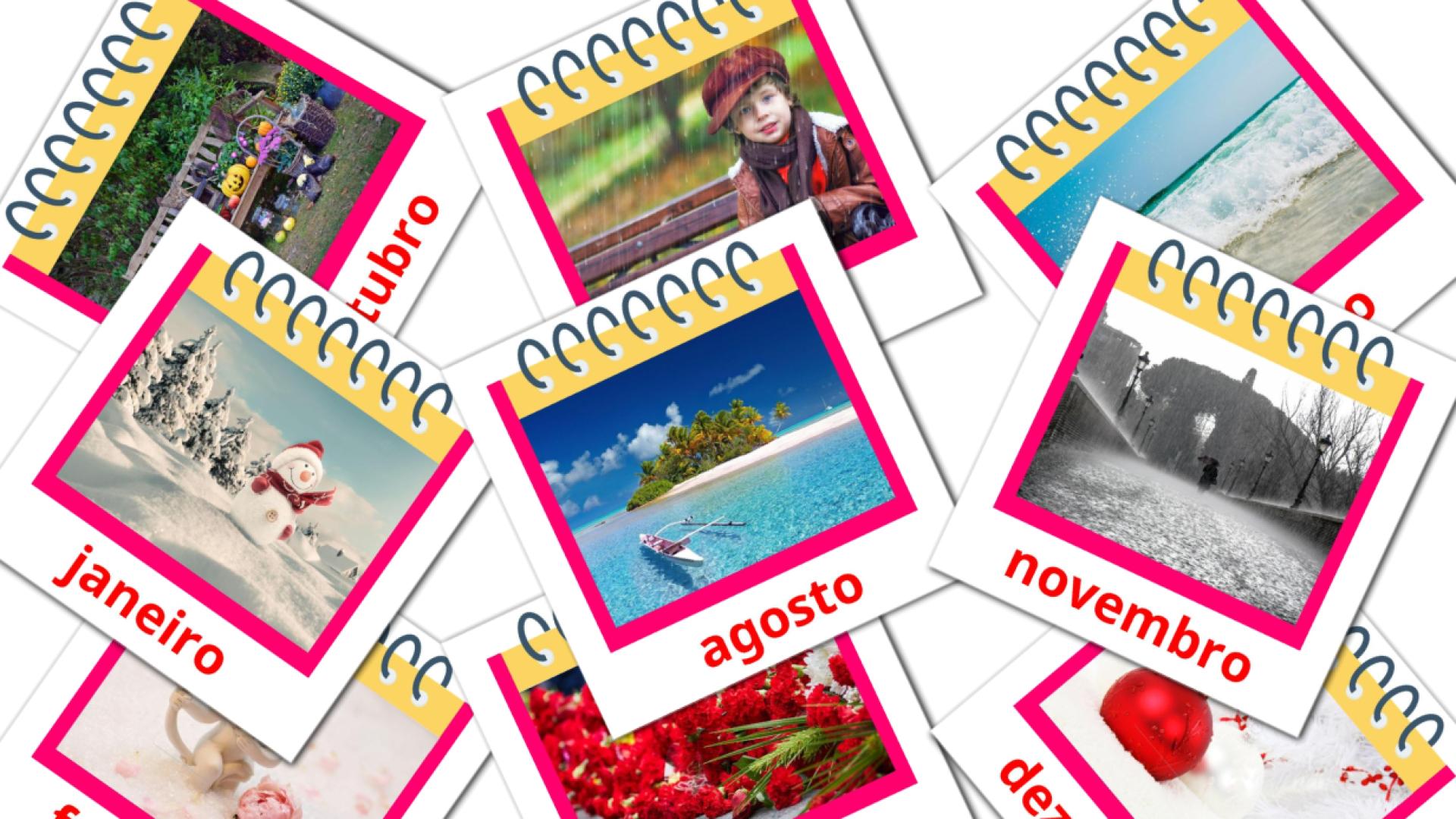 12 tarjetas didacticas de Meses do ano