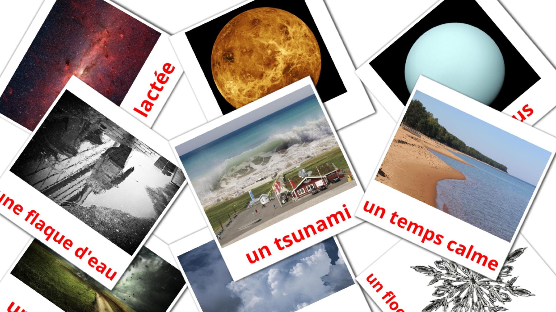 Nature Vocabulário em francês Flashcards