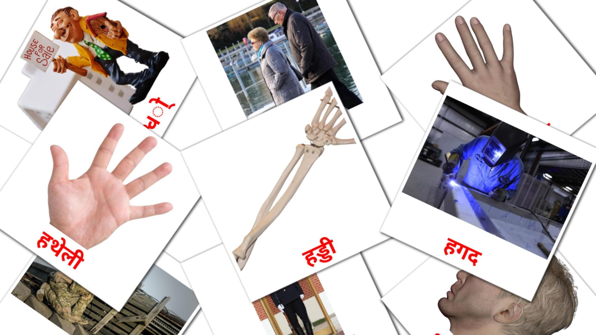 hindi tarjetas de vocabulario en लोग