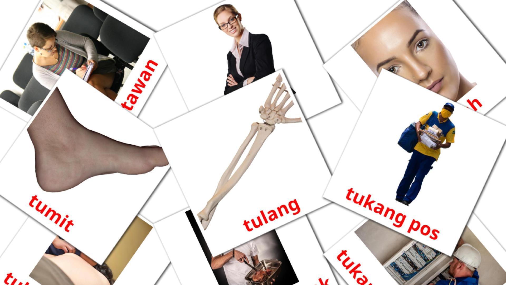 Orang indonesisch woordenschat flashcards