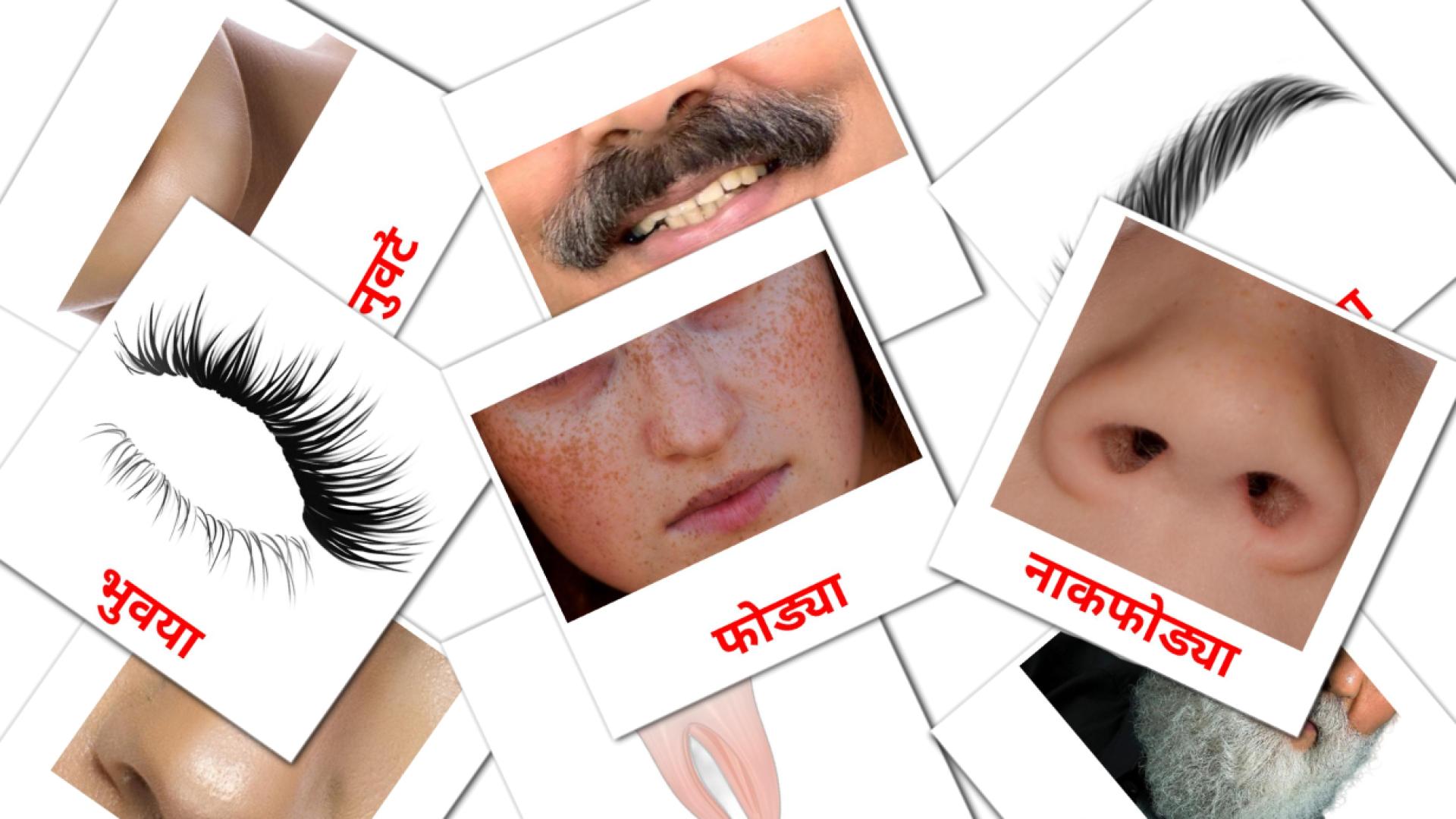 marathi tarjetas de vocabulario en लोक