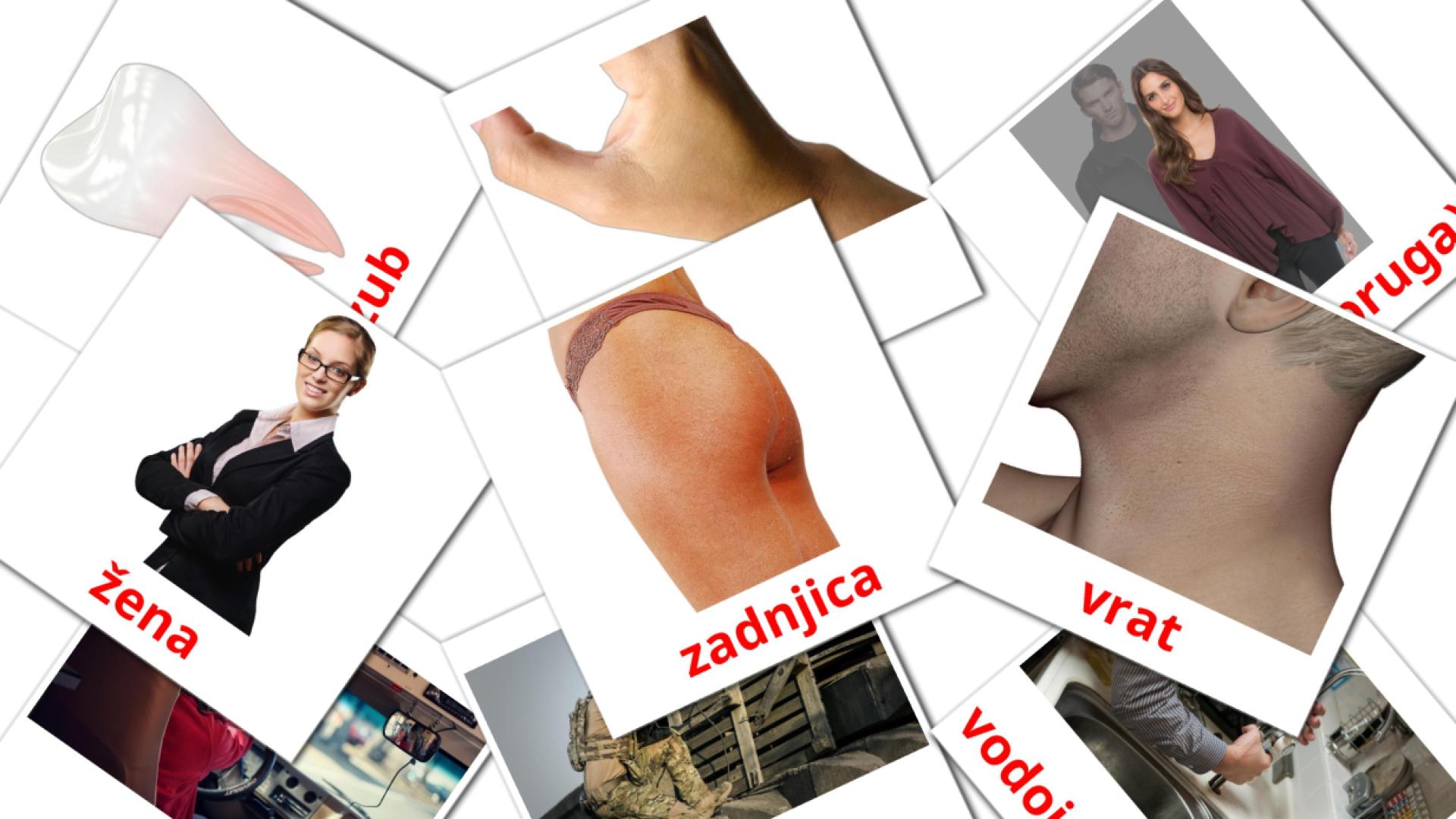 ljudi Vocabulário em sérvio Flashcards