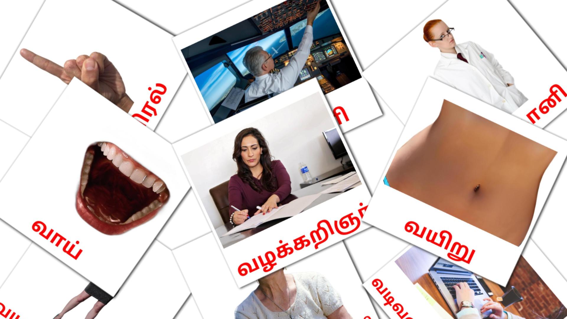 மக்கள் Vocabulário em tamil Flashcards