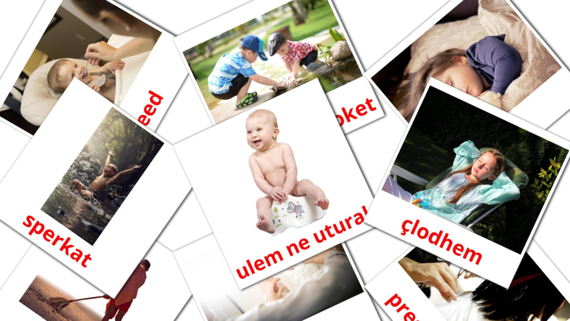 Verbos de rutina - tarjetas de vocabulario en albanés