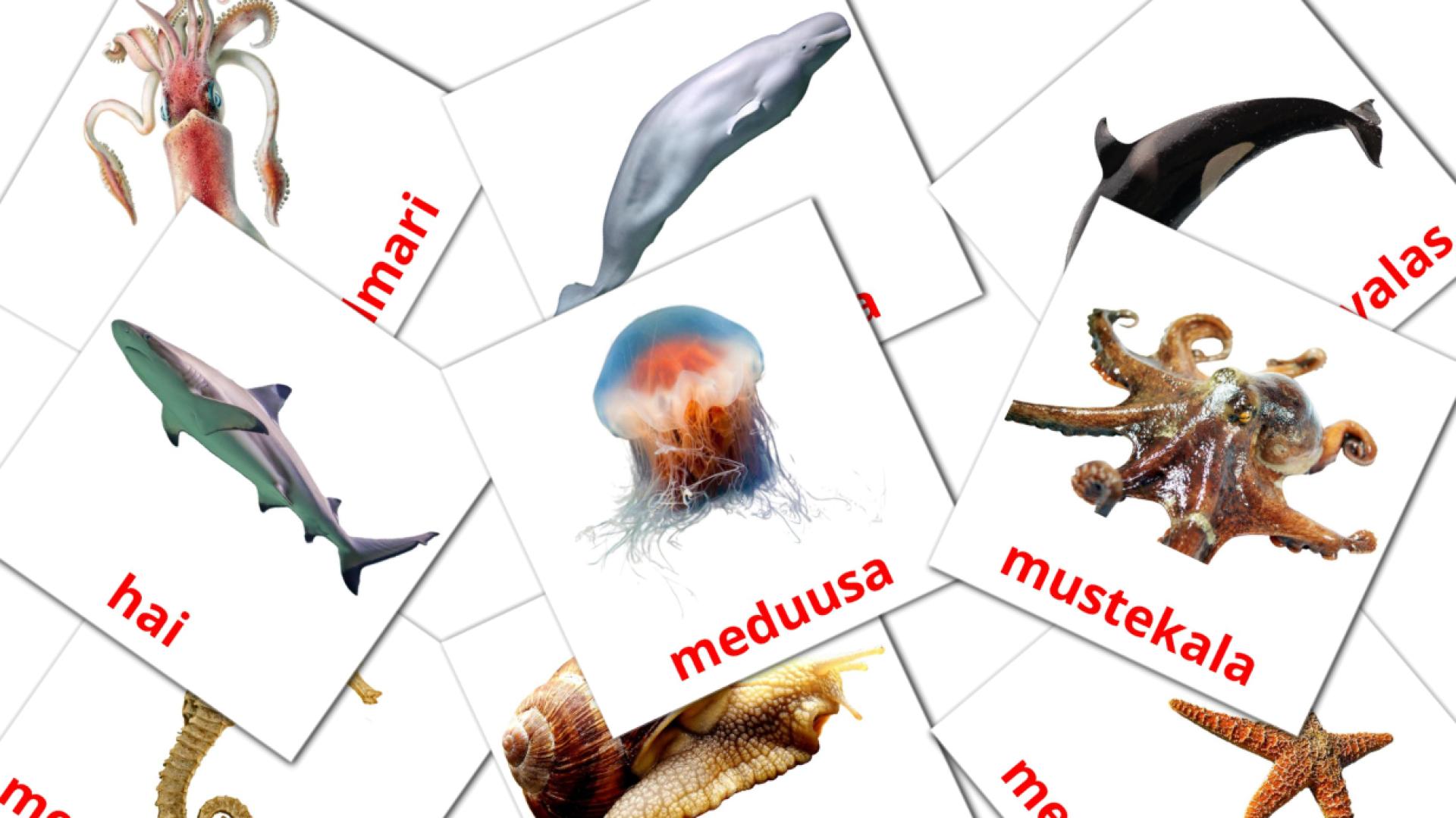 29 tarjetas didacticas de Merieläimet
