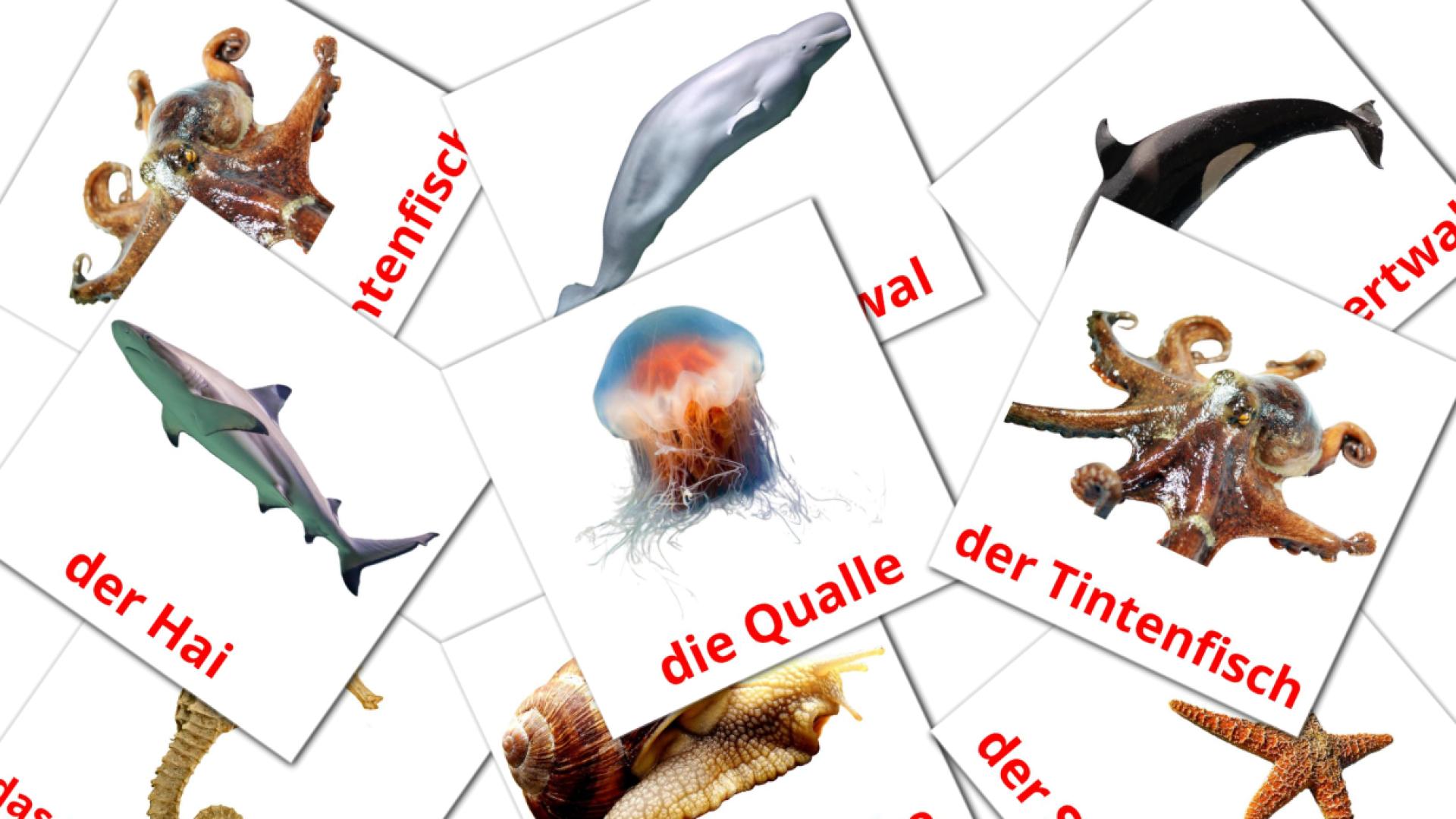Animales Marinos - tarjetas de vocabulario en alemán
