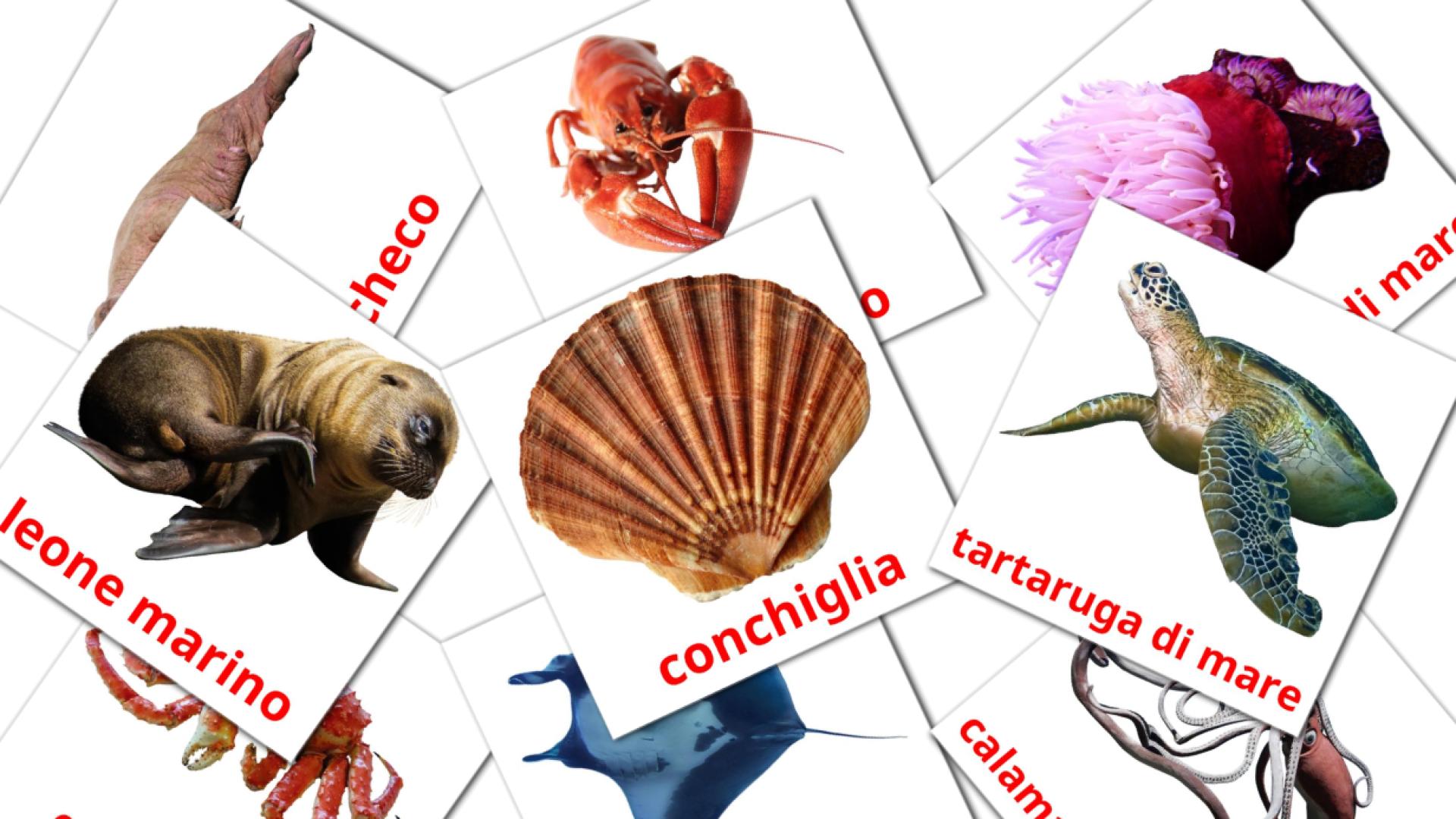 29 tarjetas didacticas de Animali marini