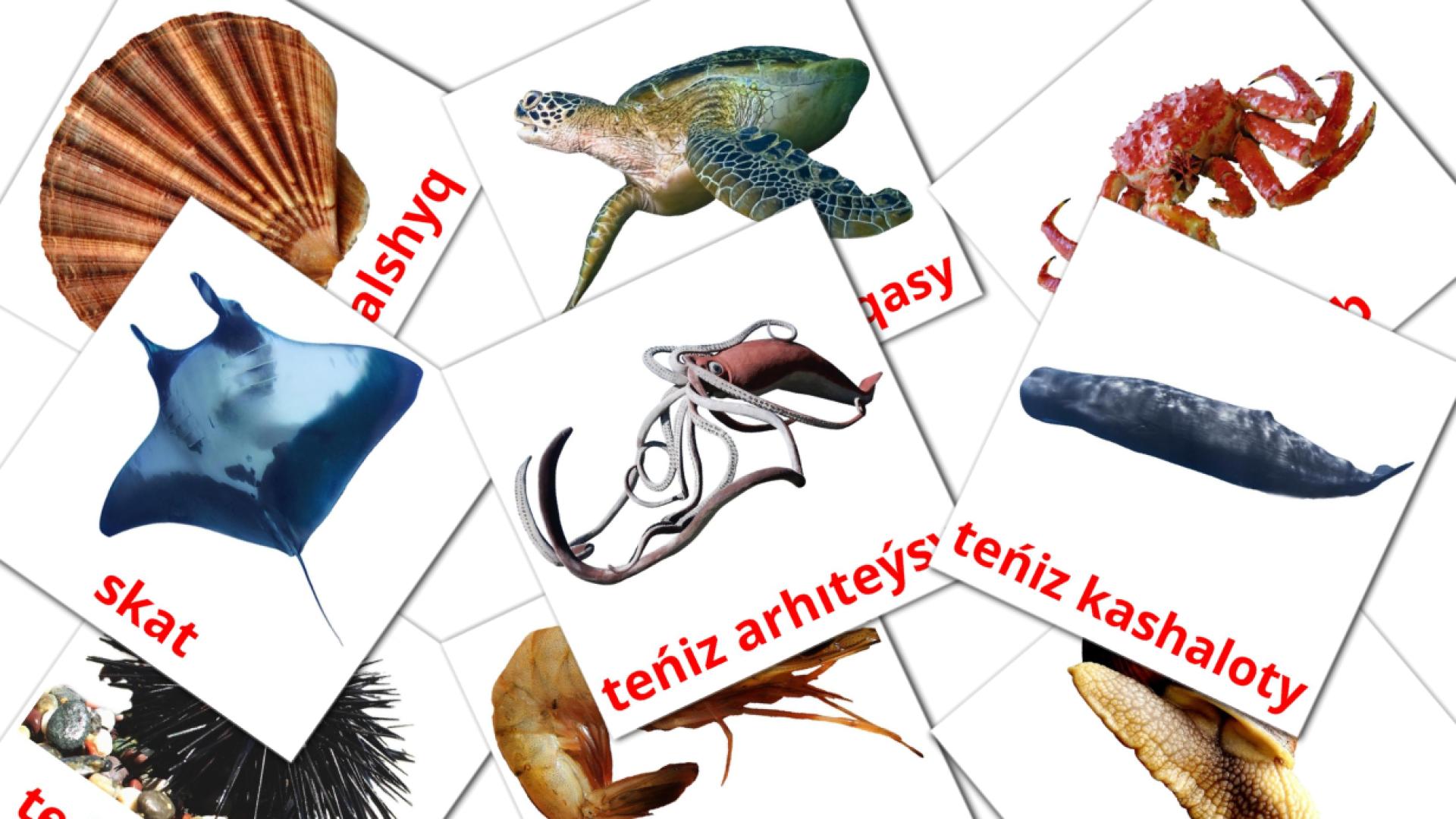 29 Bildkarten für Teńіz janýarlary