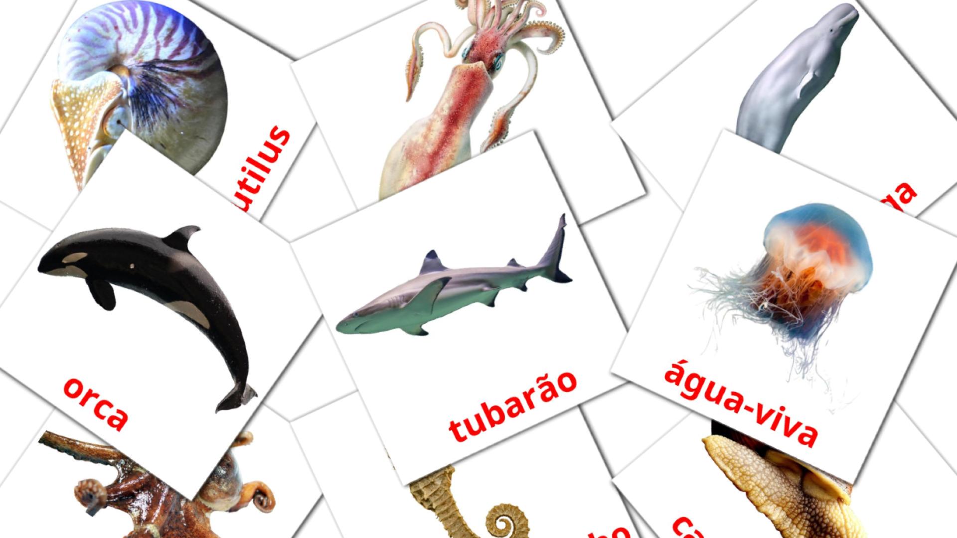 29 tarjetas didacticas de Animais Marinhos