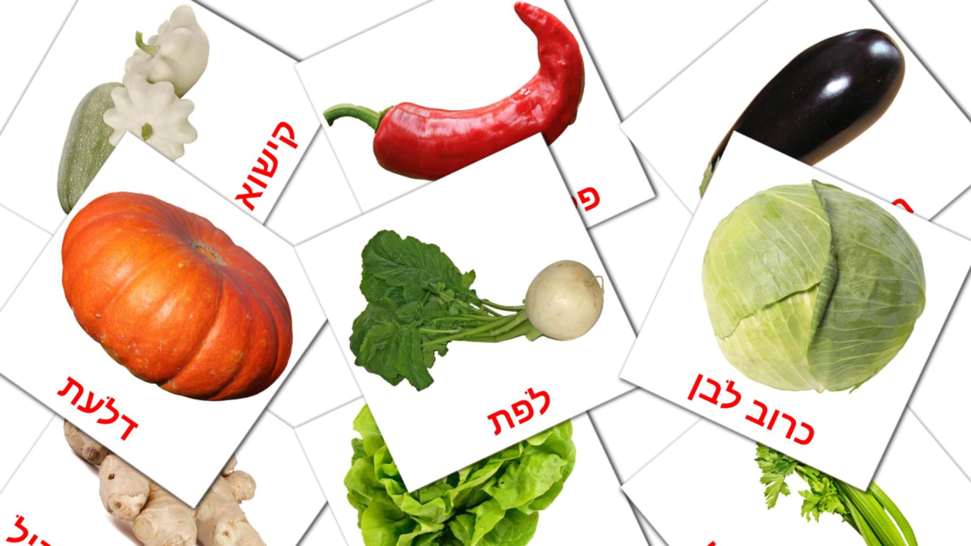 29 tarjetas didacticas de ירקות