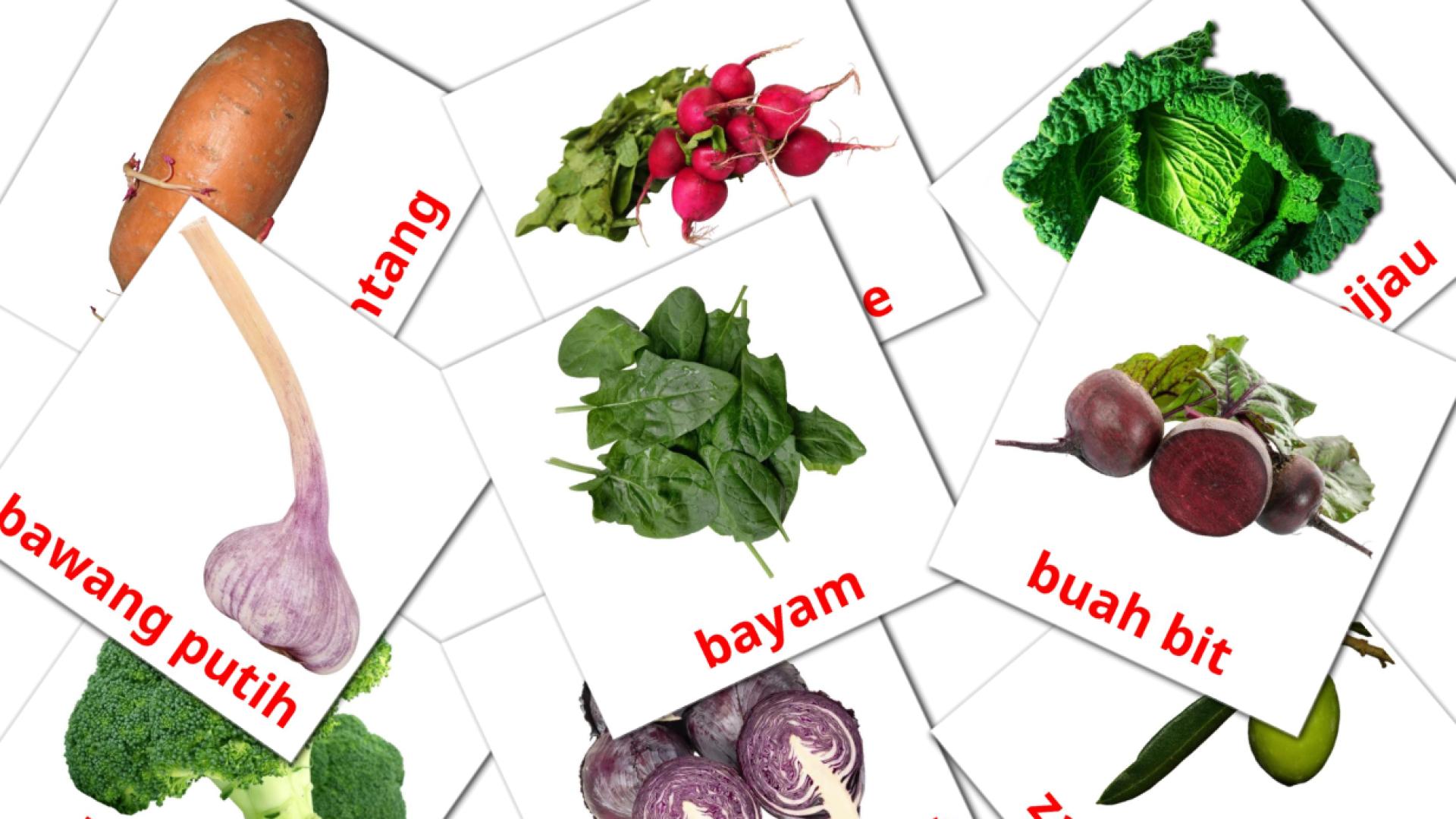29 Bildkarten für Sayuran
