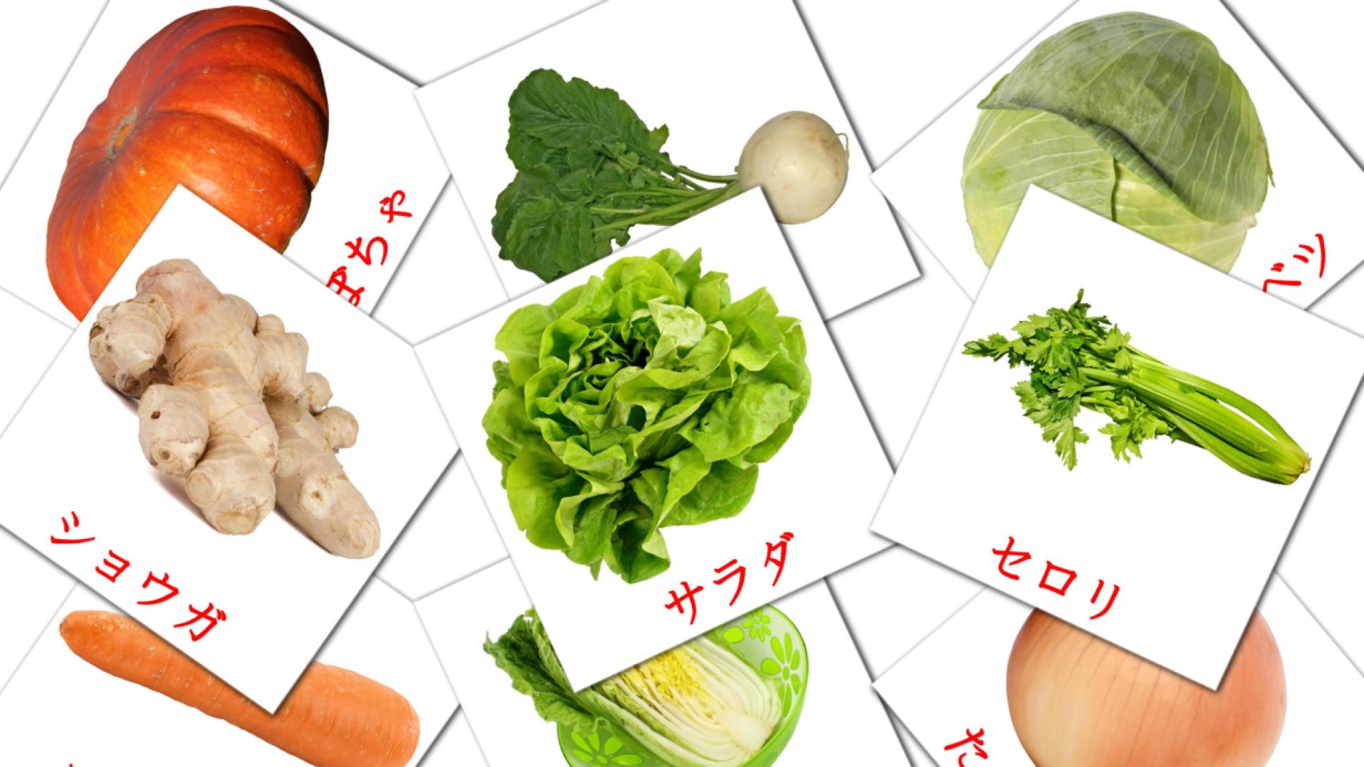 29 Bildkarten für 野菜 Yasai
