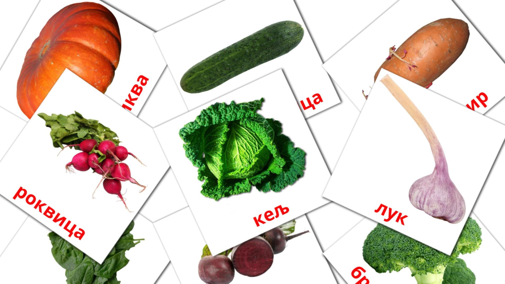 29 tarjetas didacticas de Зеленчук