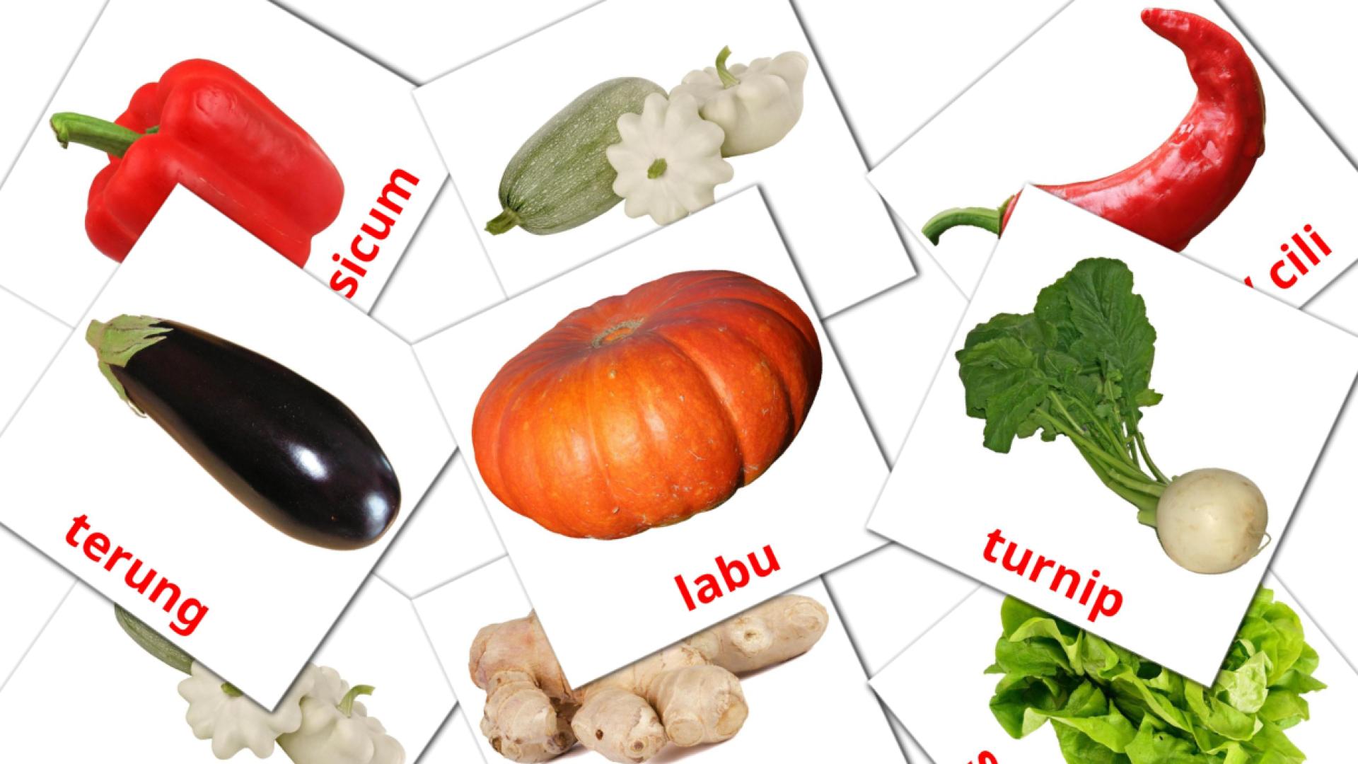 29 tarjetas didacticas de sayuran