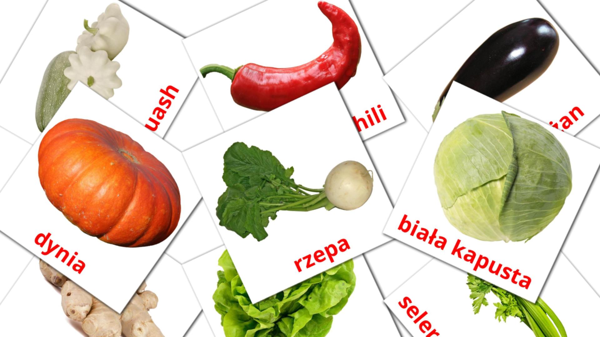29 Bildkarten für Warzywa