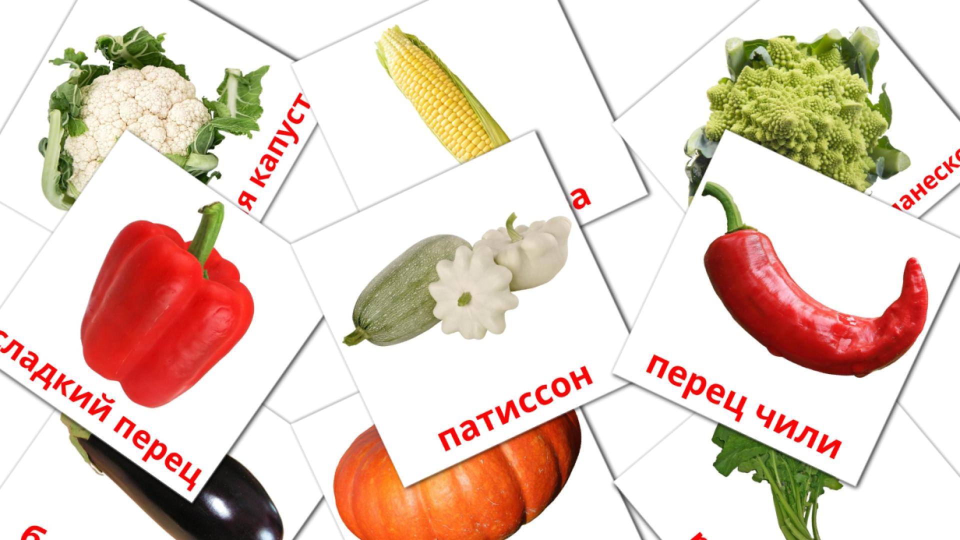 29 Bildkarten für Овощи