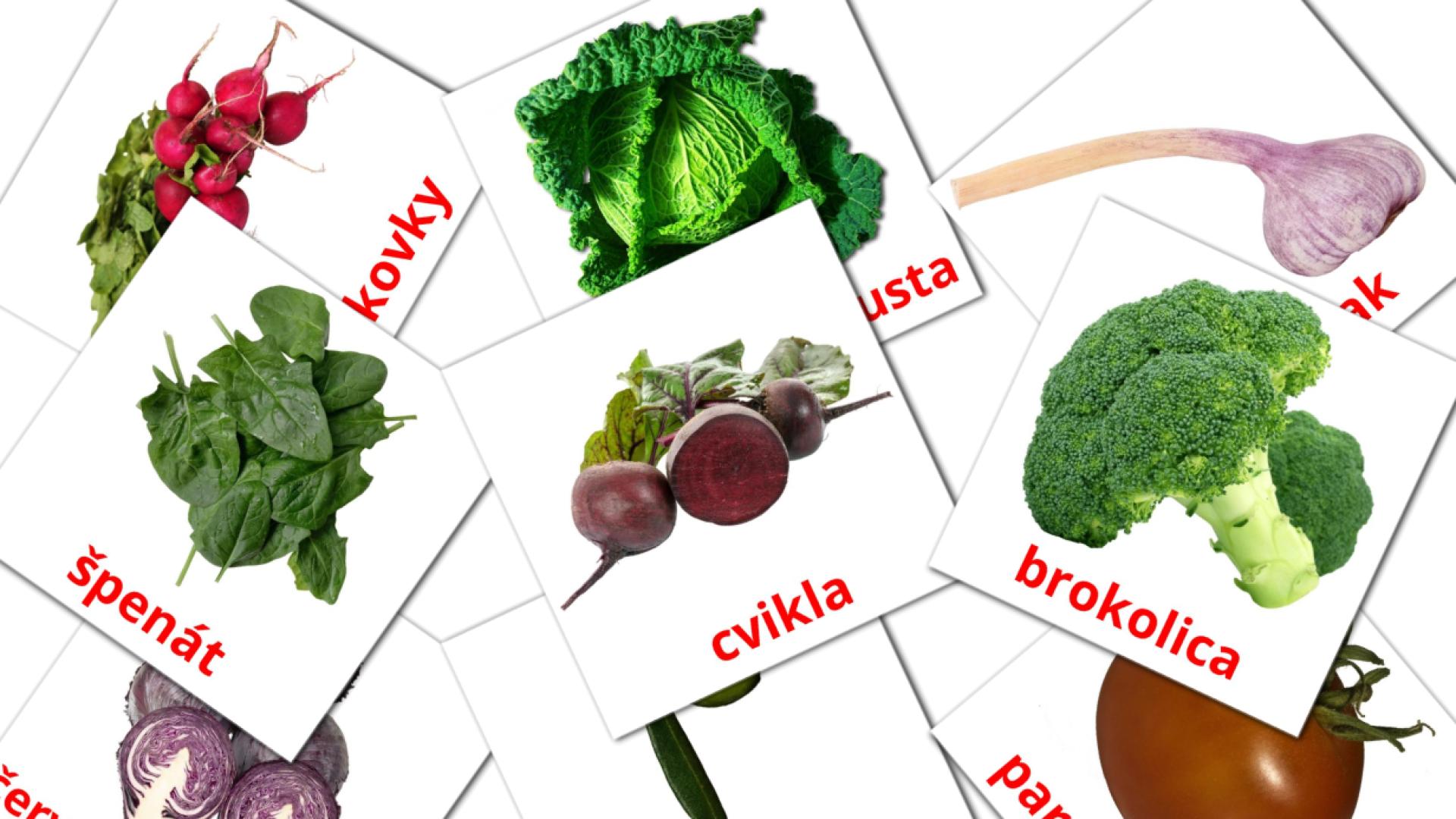 29 tarjetas didacticas de Zelenina
