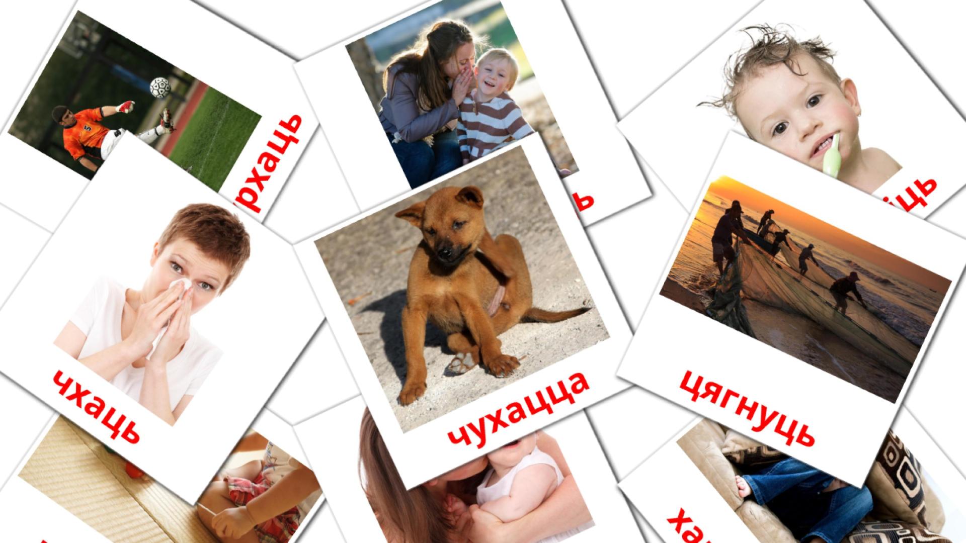 bielorruso tarjetas de vocabulario en дзеясловы