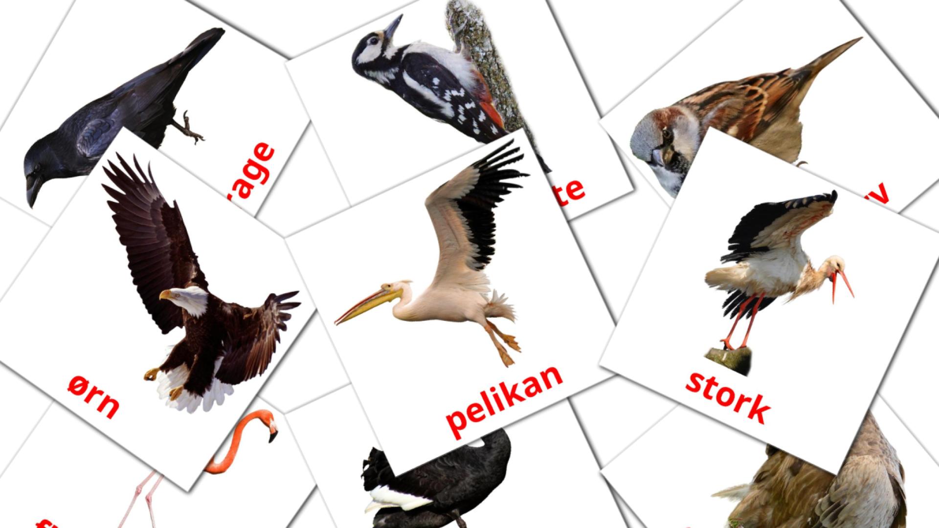 18 Flashcards de Vilde Fugle