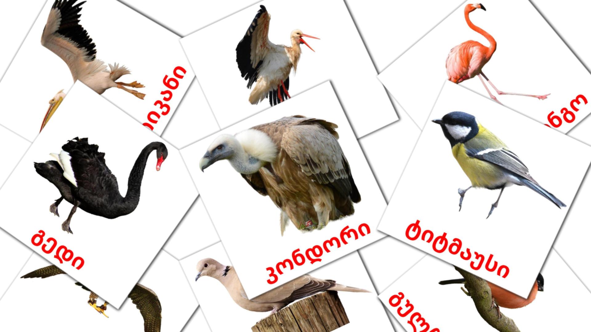 18 Bildkarten für გარეული ფრინველები