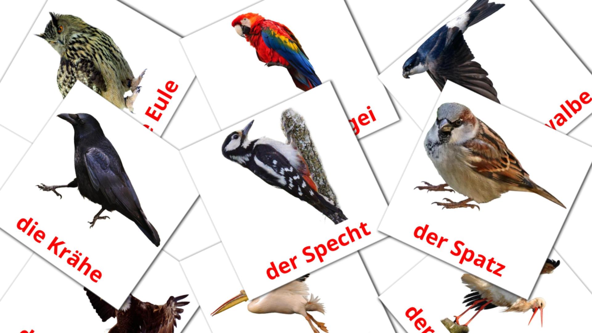 Pájaros salvajes - tarjetas de vocabulario en alemán