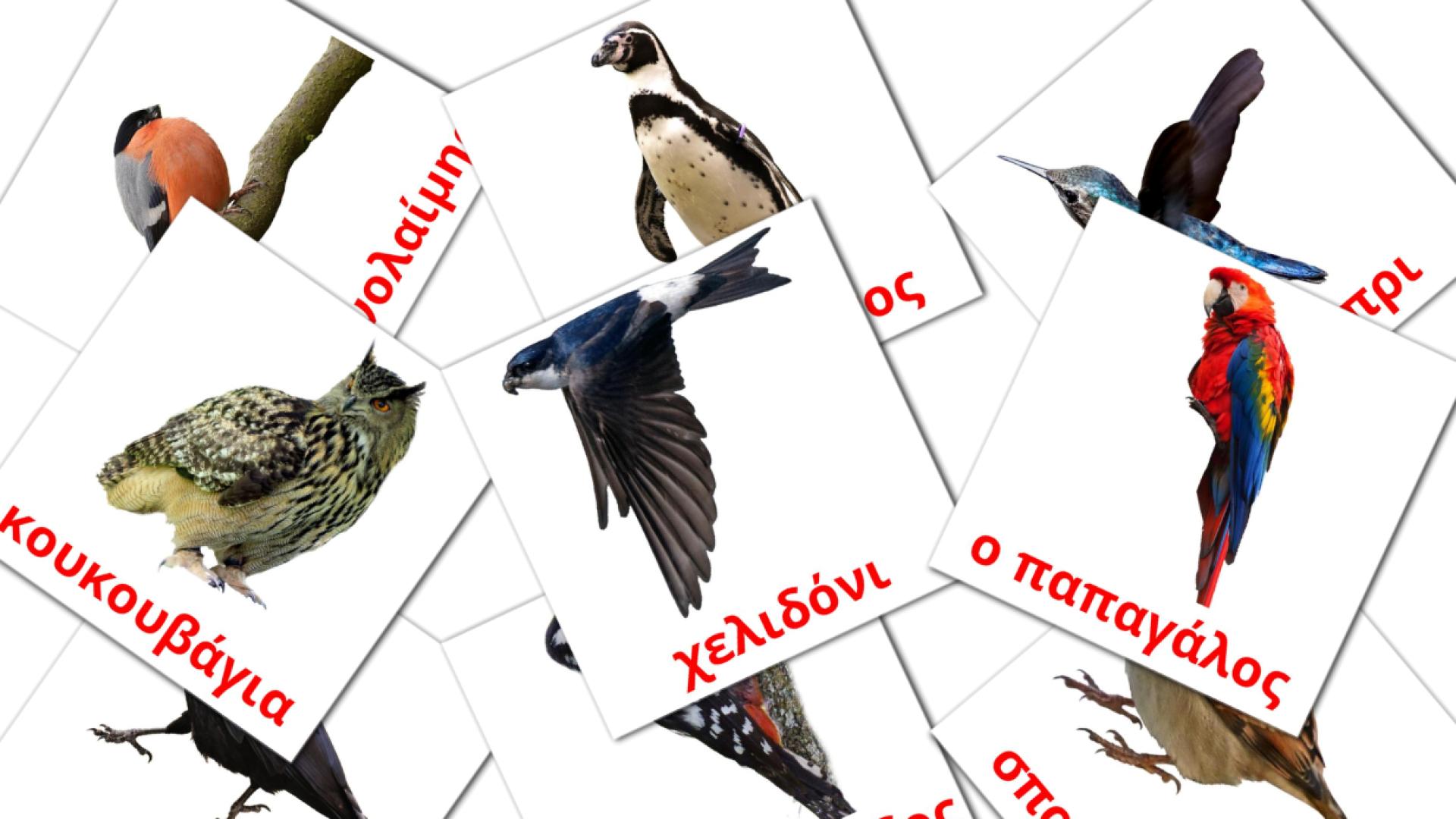 18 tarjetas didacticas de Άγρια πουλιά