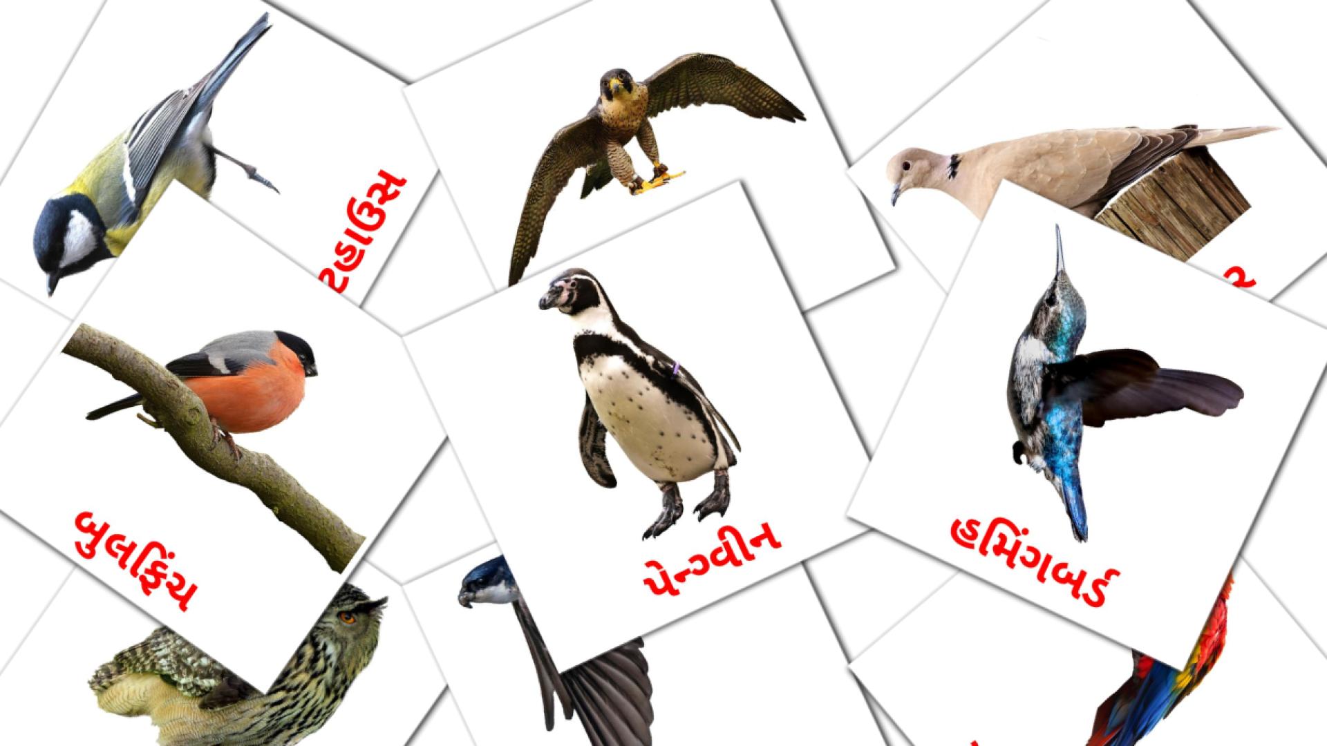 18 Bildkarten für જંગલી પક્ષીઓ