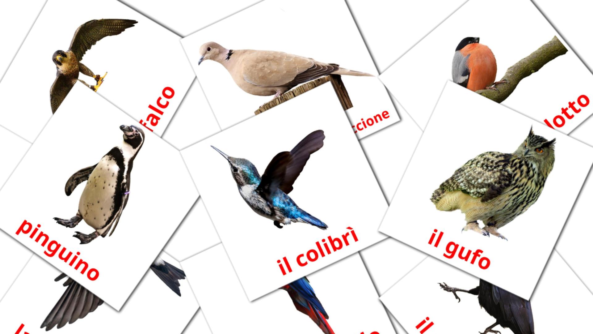 18 Bildkarten für Uccelli selvaggi