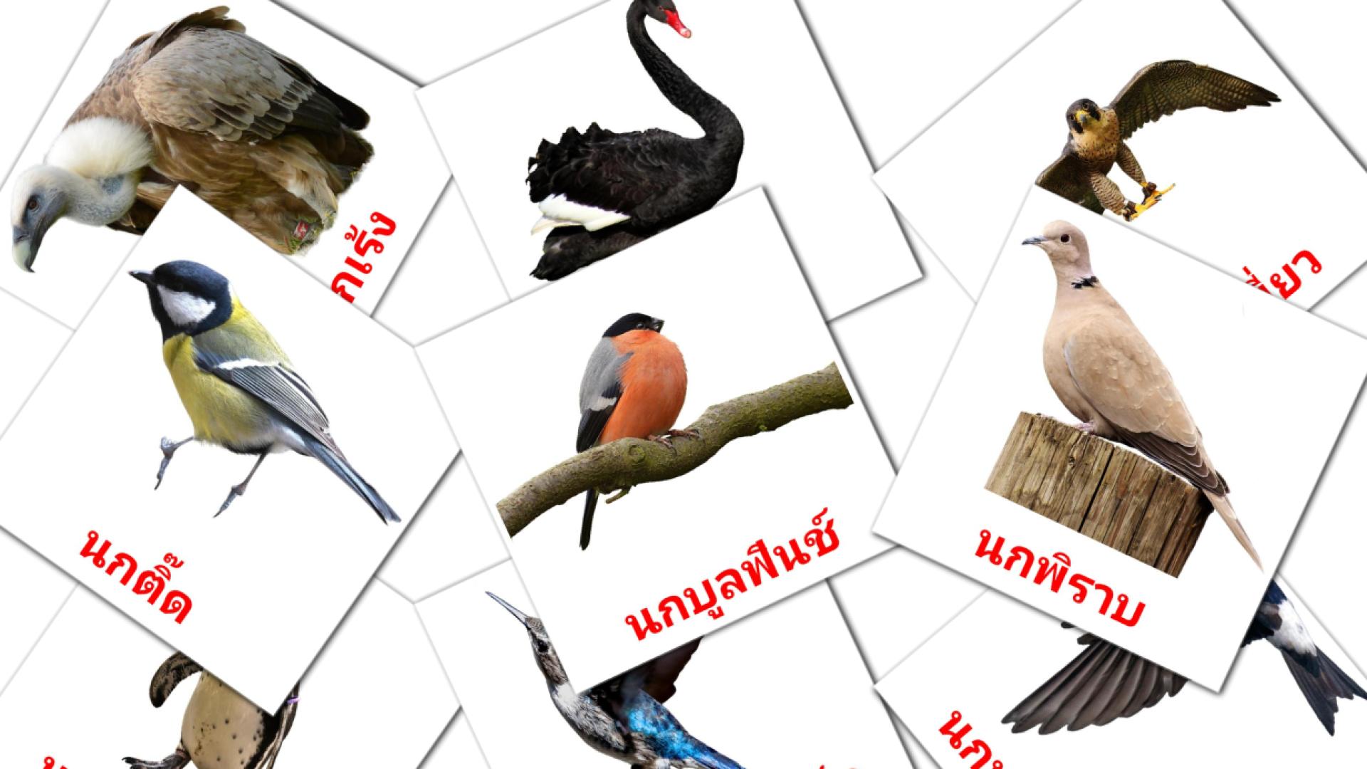18 Bildkarten für นกป่า